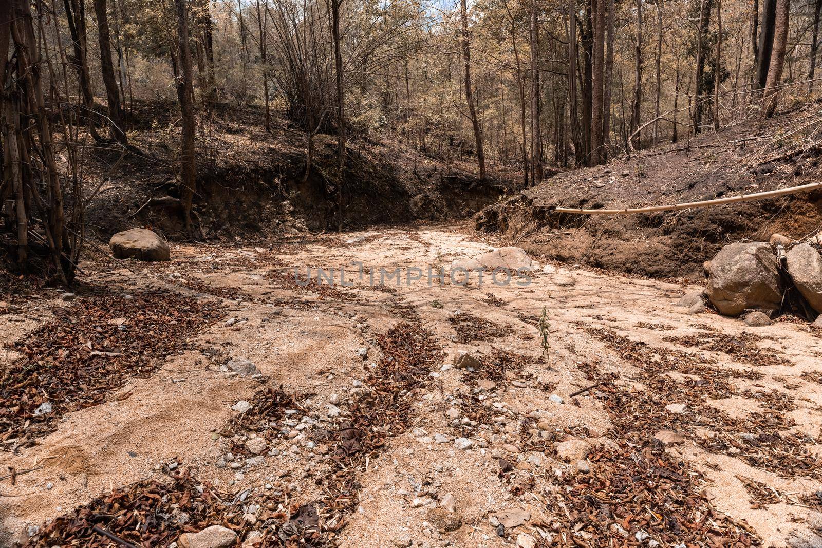 Dry creek bed in summer , northern Thailand. by toa55