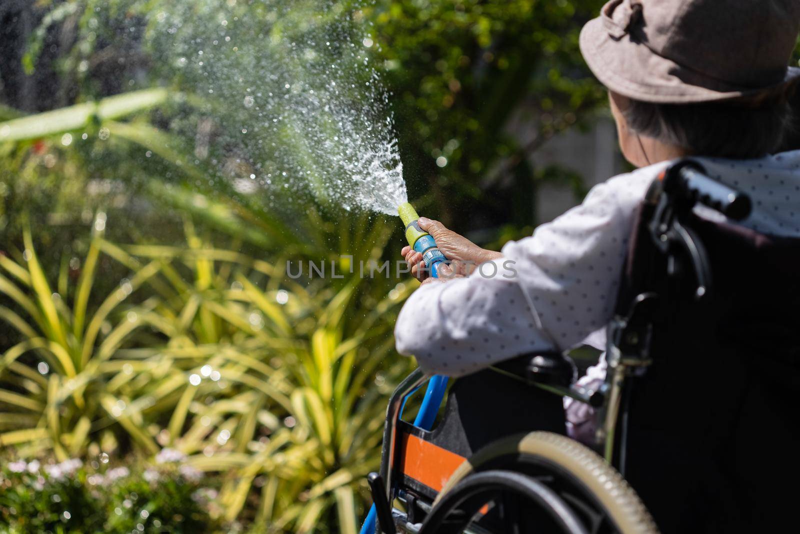 Senior woman hand holding hose sprayer and watering plants in backyard