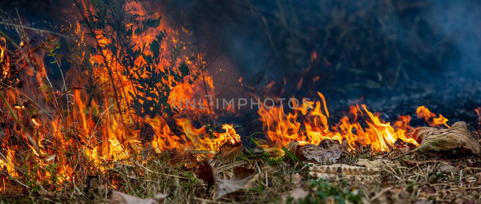 Forest fire in northern Thailand. by toa55