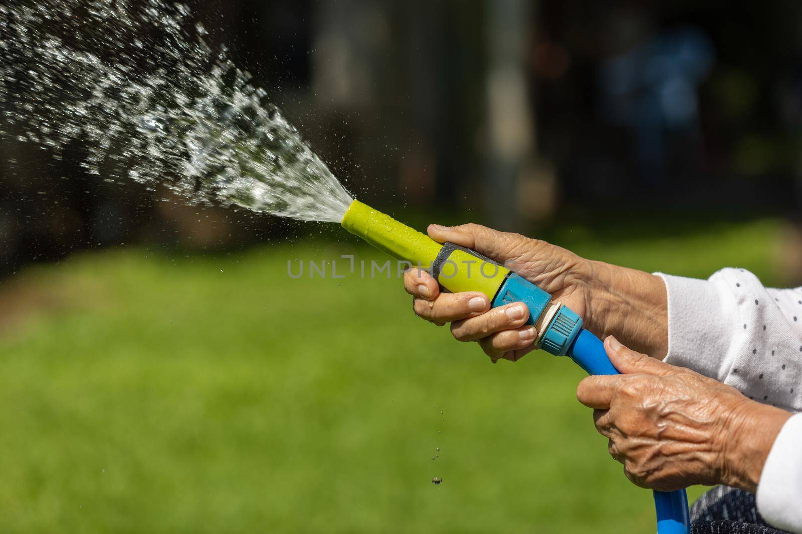 Senior woman hand holding hose sprayer and watering plants in backyard