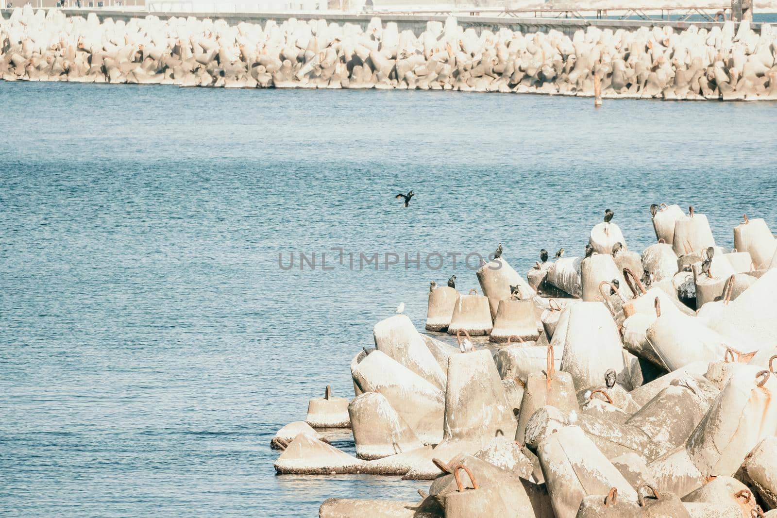 The seashore is reinforced with concrete tetrapods. Protection of the shore from blurring. Sea waves. Concrete tetrapod breakwaters lie all along the coast.
