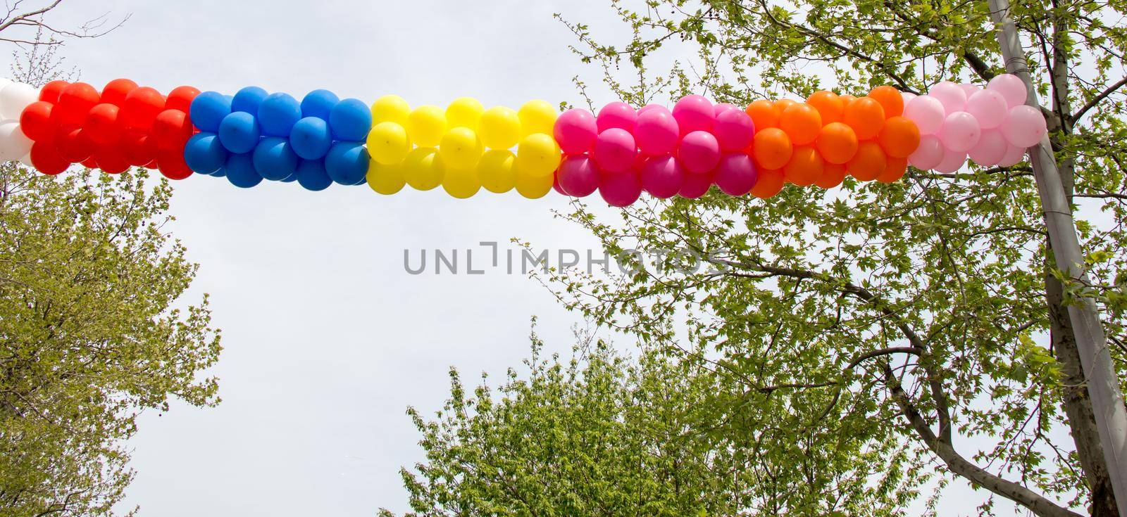 Colorful balloons in air between trees