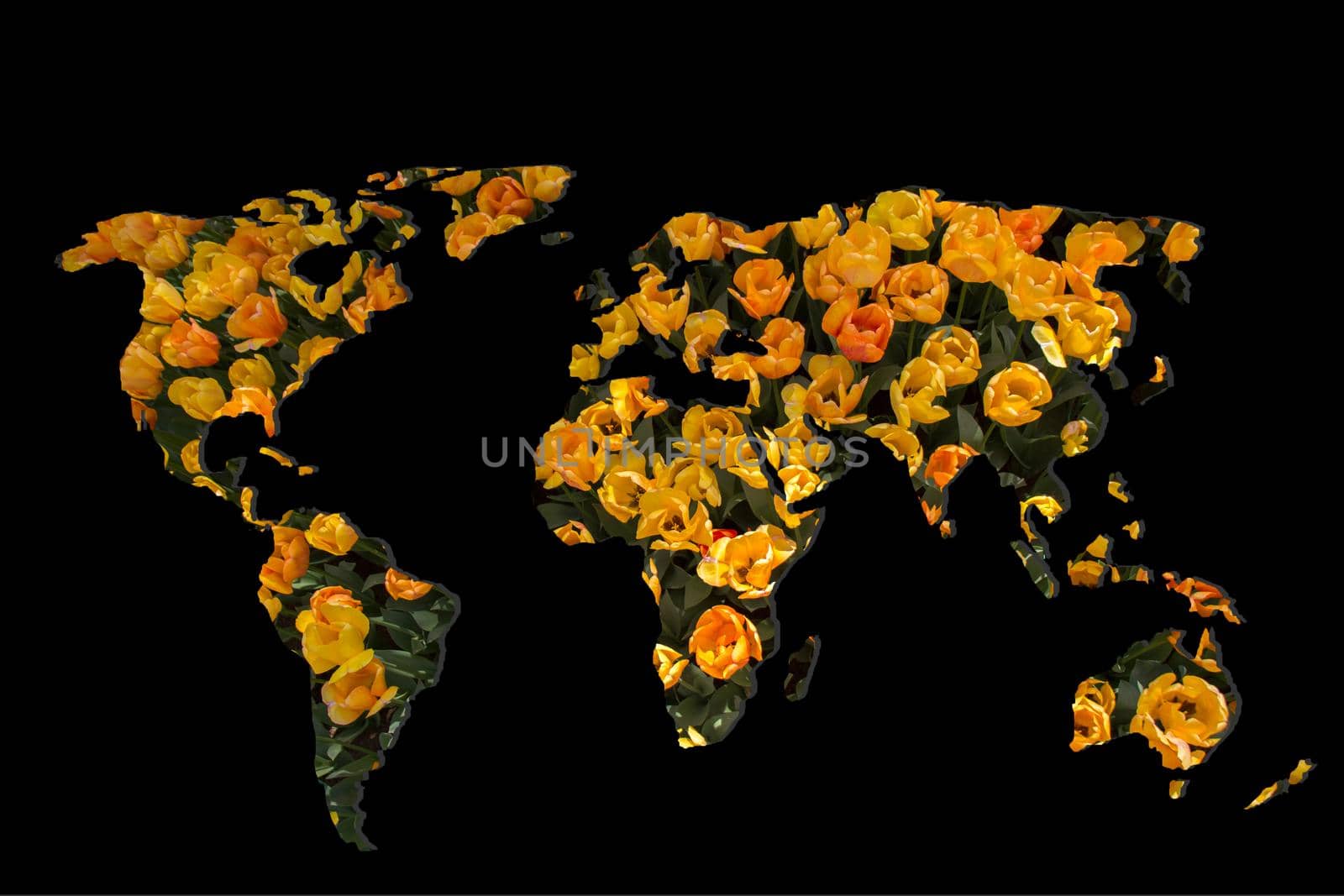 Roughly outlined world map with with tulip garden filling by berkay