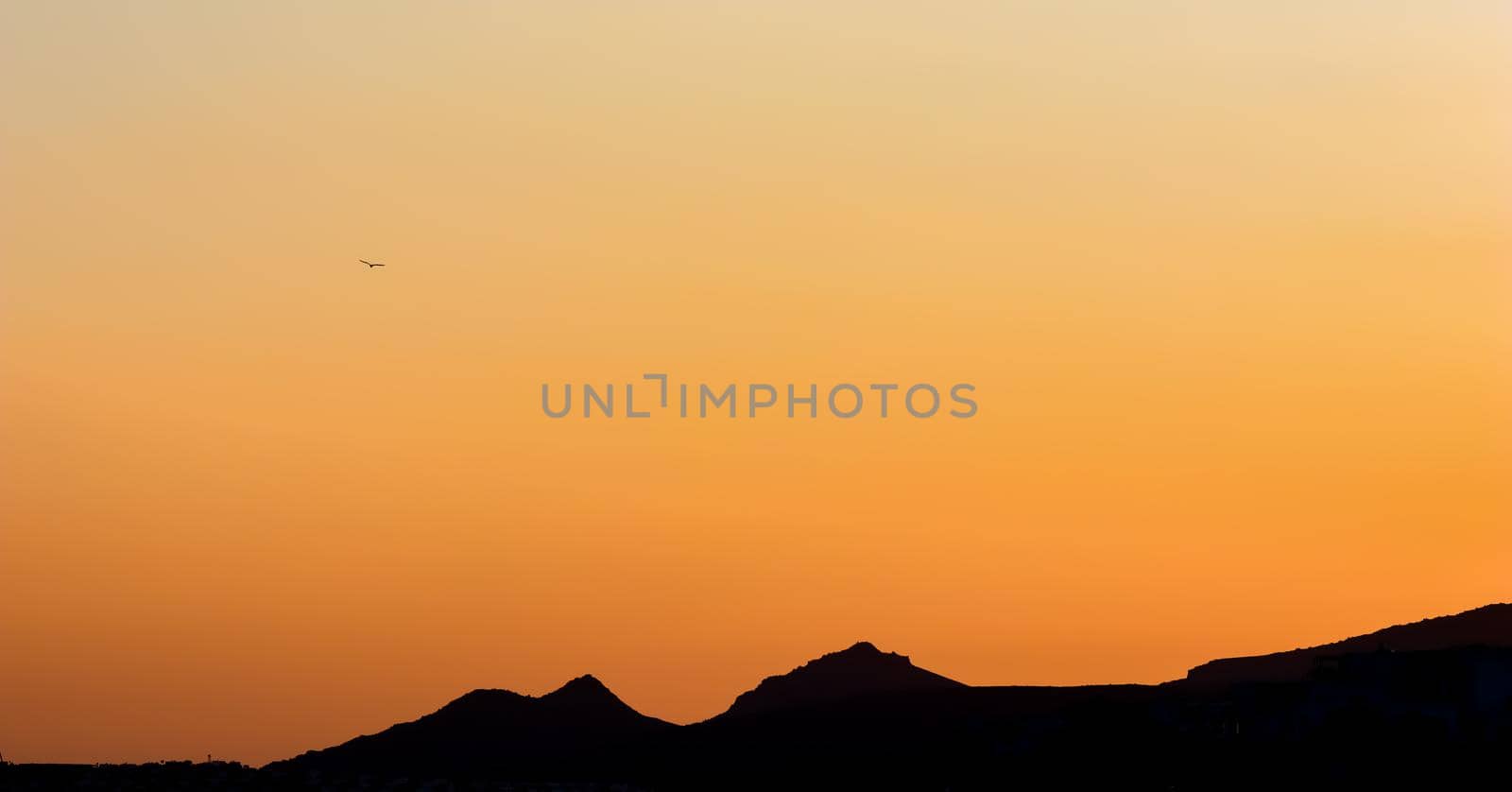 Background from a beautiful colorful sunset with the silhouette of the mountains and a flying bird. High quality photo