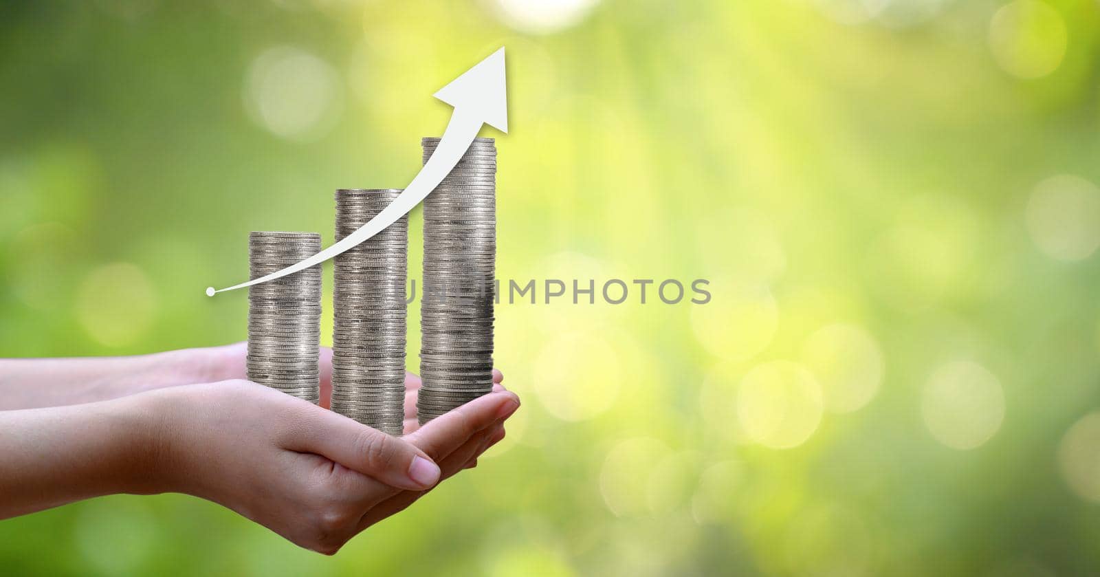 hand Coin tree The tree grows on the pile. Saving money for the future. Investment Ideas and Business Growth. Green background with bokeh sun by sarayut_thaneerat