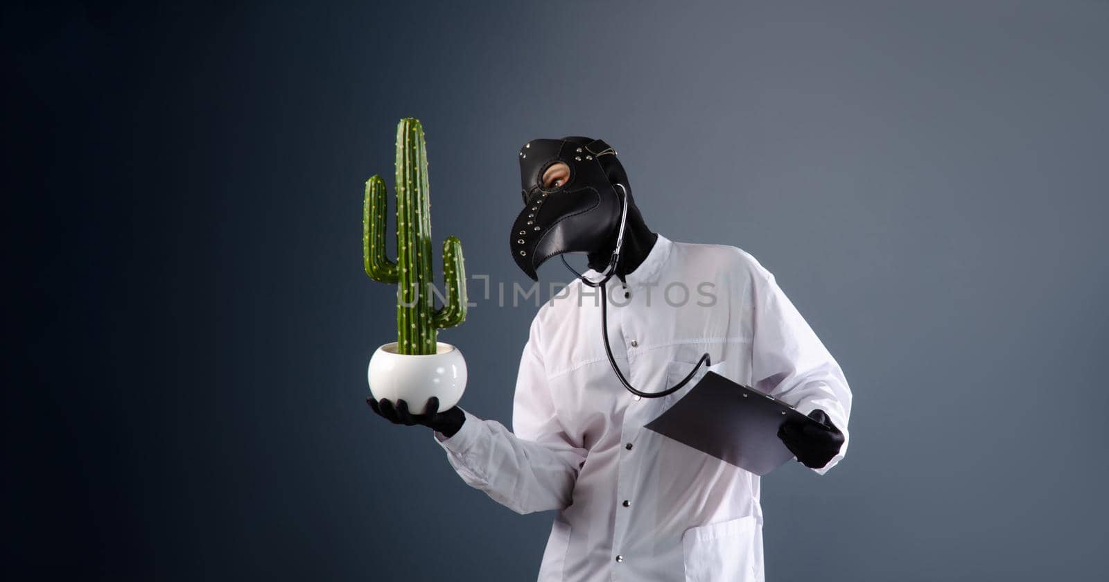 doctor in a dressing gown, wearing a plague doctor mask with a cactus in his hands