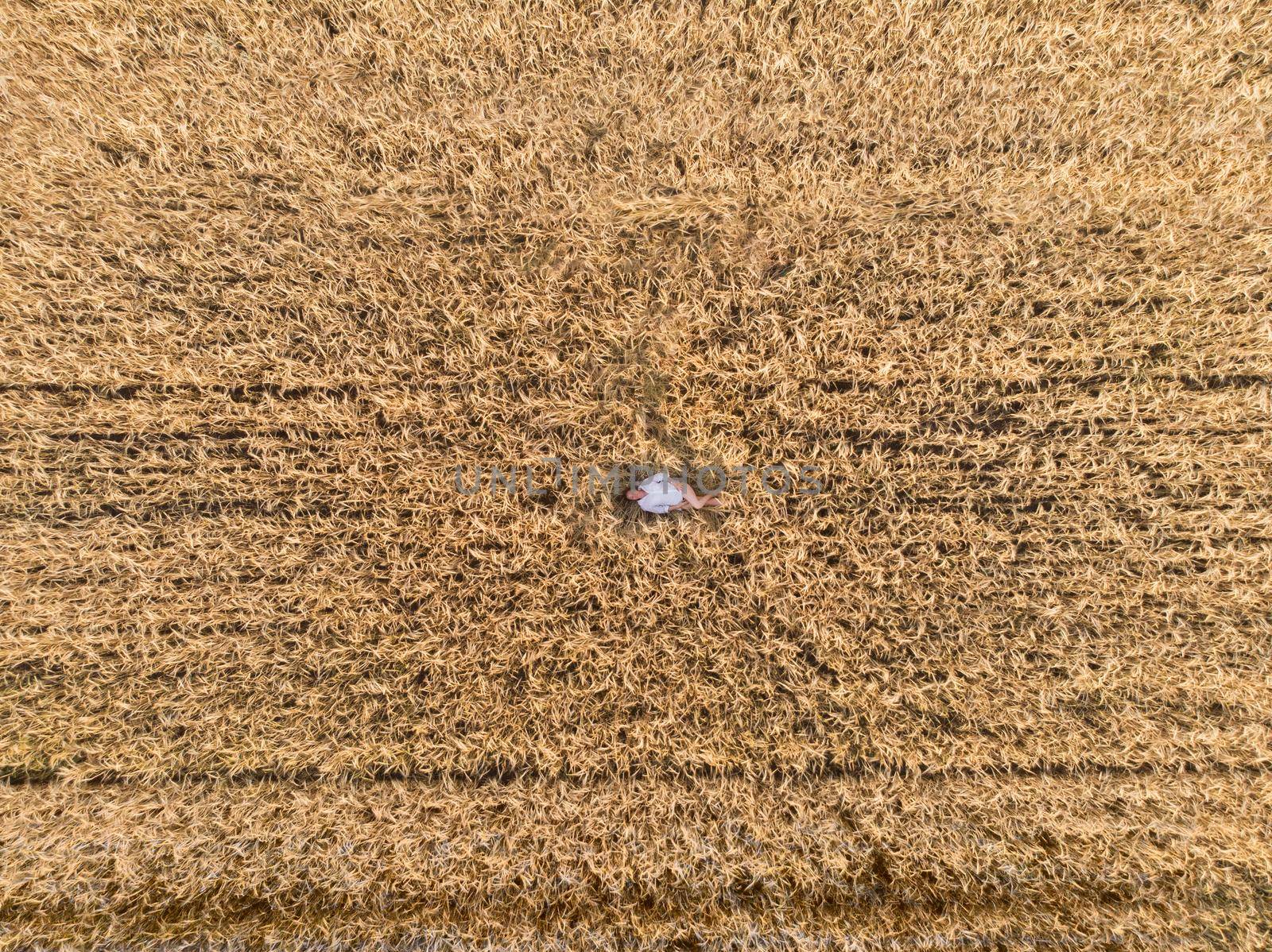Aerial view of woman lying in the yellow field of wheat