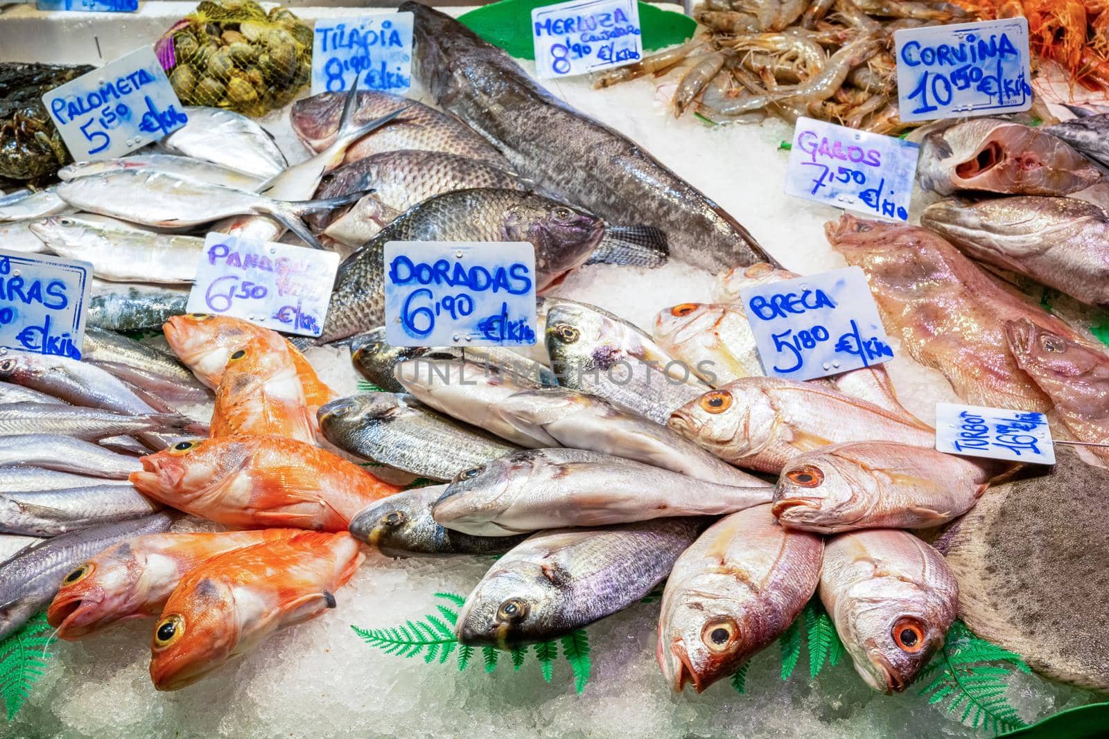 Fish and seafood for sale at a market in Spain
