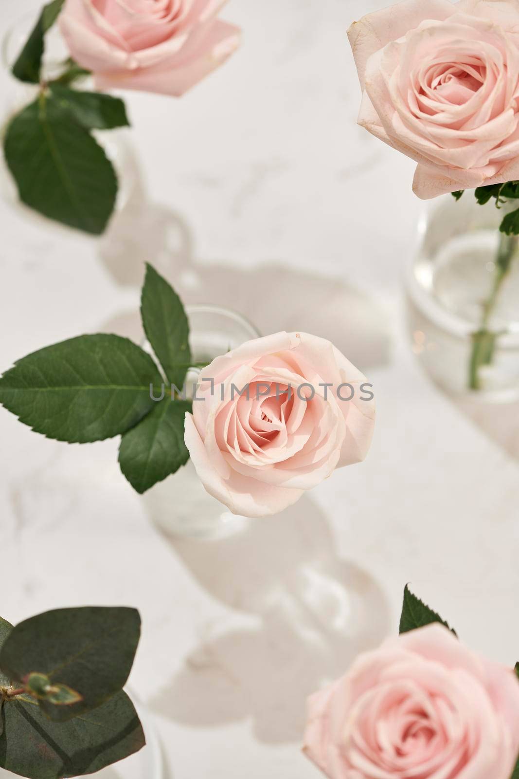 Beautiful rose flowers in vase on pink background. Greeting card for Womens day or Mothers day. by makidotvn