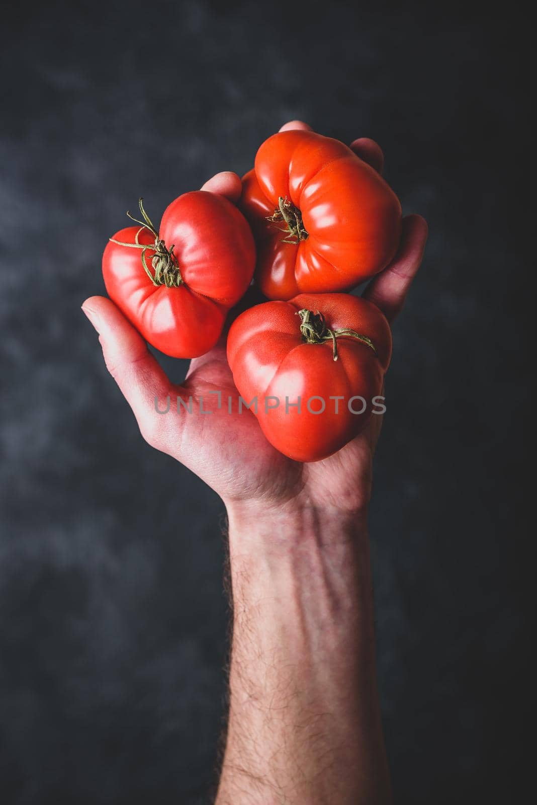 Hand holding fresh red tomatoes by Seva_blsv