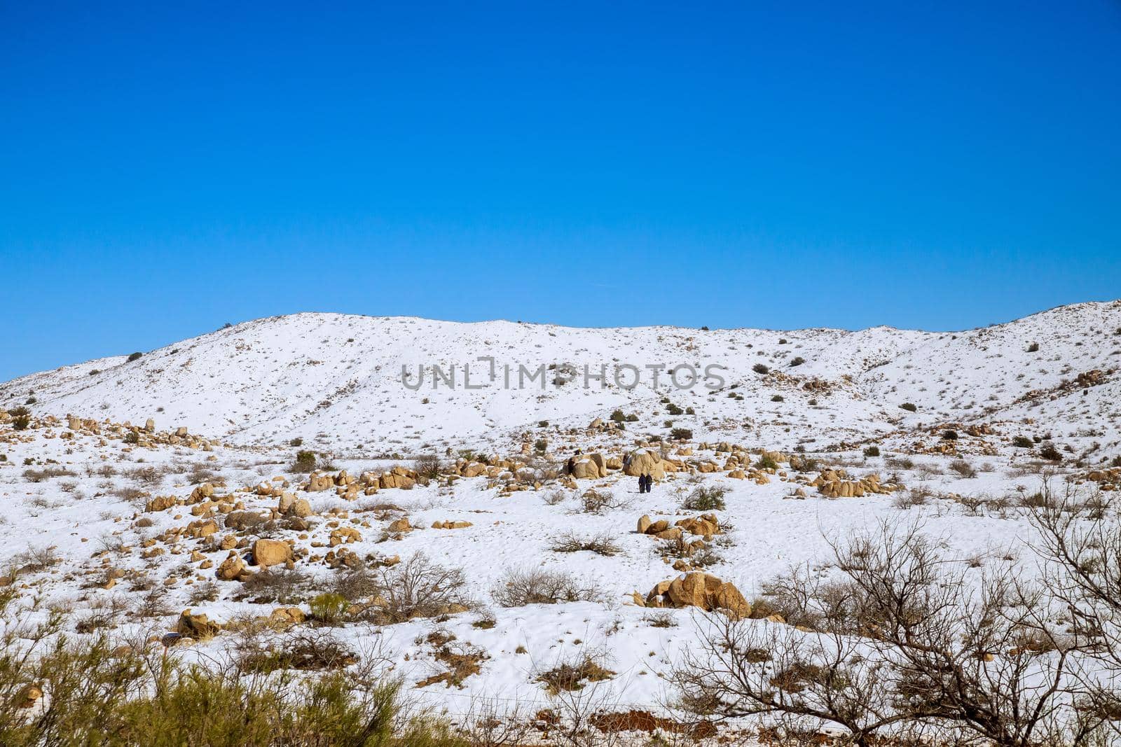 Snowy mountain panorama view in Arizona winter by ungvar