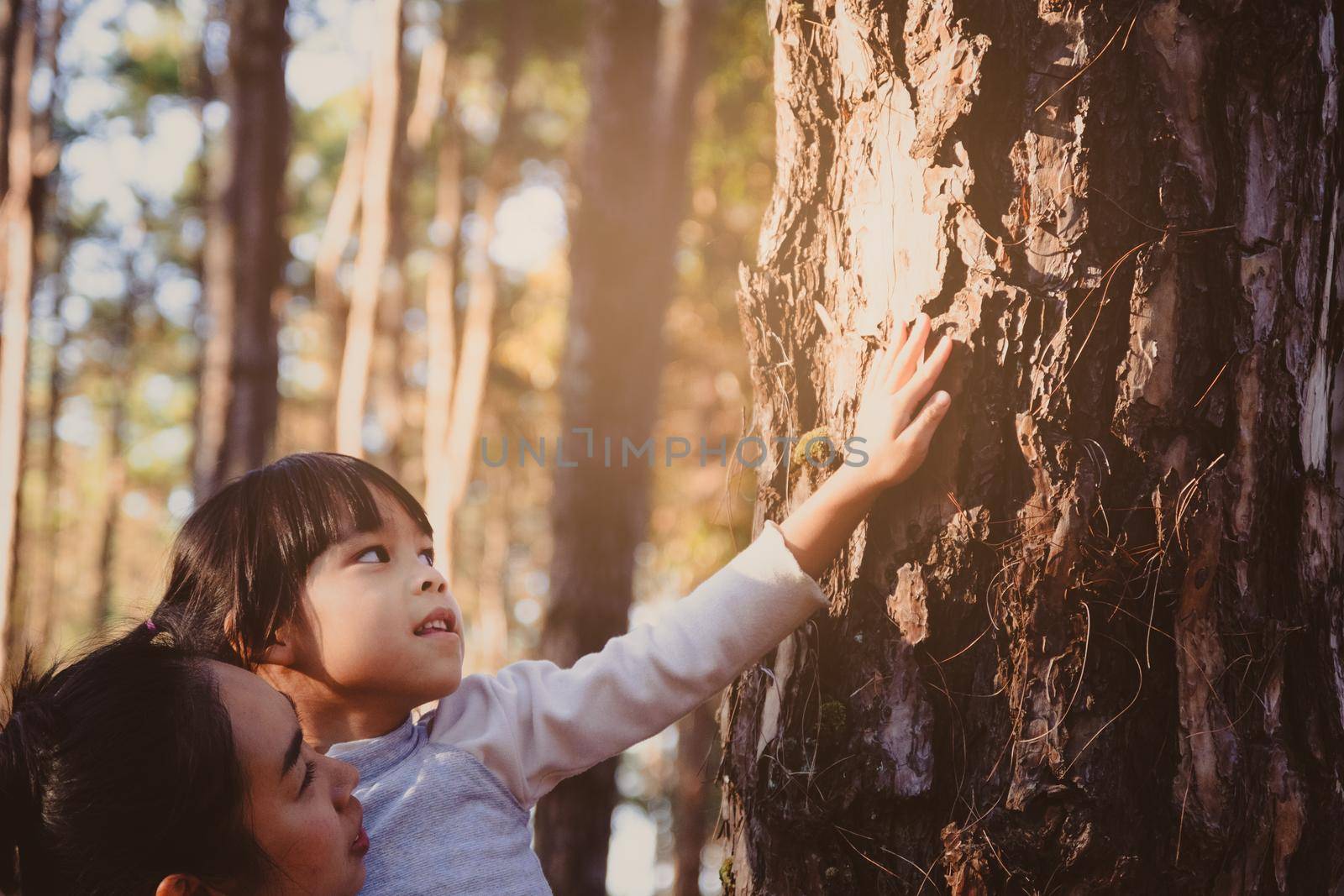 Mother holding her little daughter to touching on a big tree in forest with love. Protection and love nature concepts.