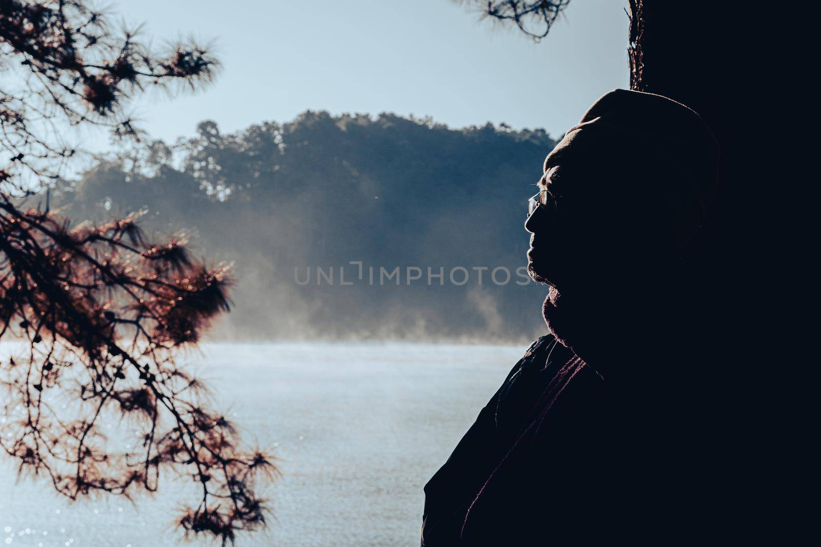 Asian senior man enjoying nature and warm morning sun in winter pine forest. Elderly man relaxing in the park . Outdoor leisure lifestyle of the elderly. by TEERASAK