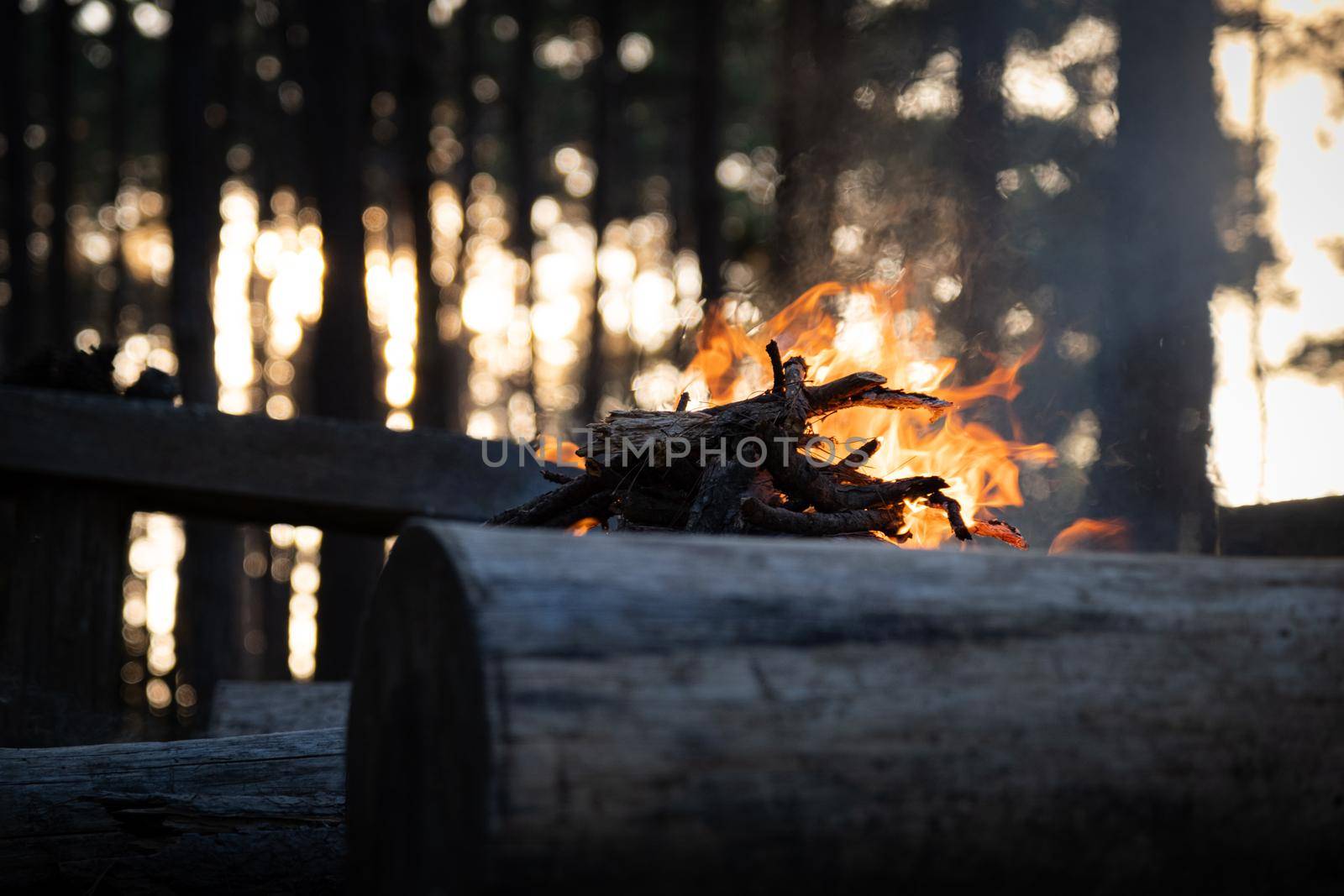 Bonfire with sparks in the forest at the night. by TEERASAK