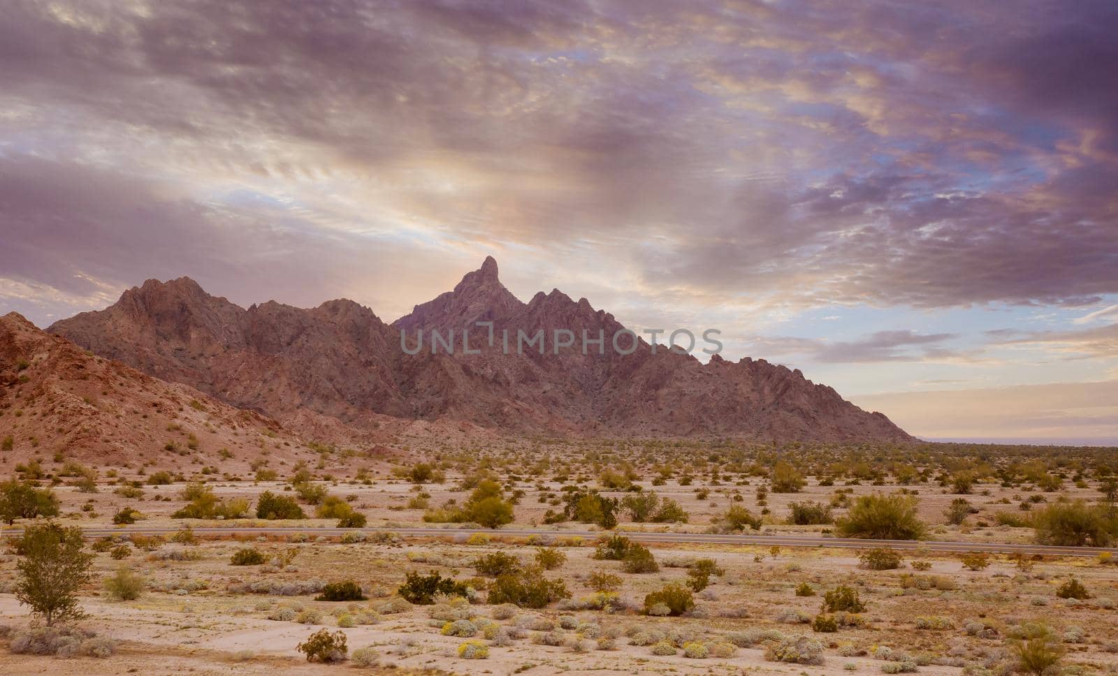 Beautiful panoramic desert landscape wilderness, near Phoenix Arizona by ungvar