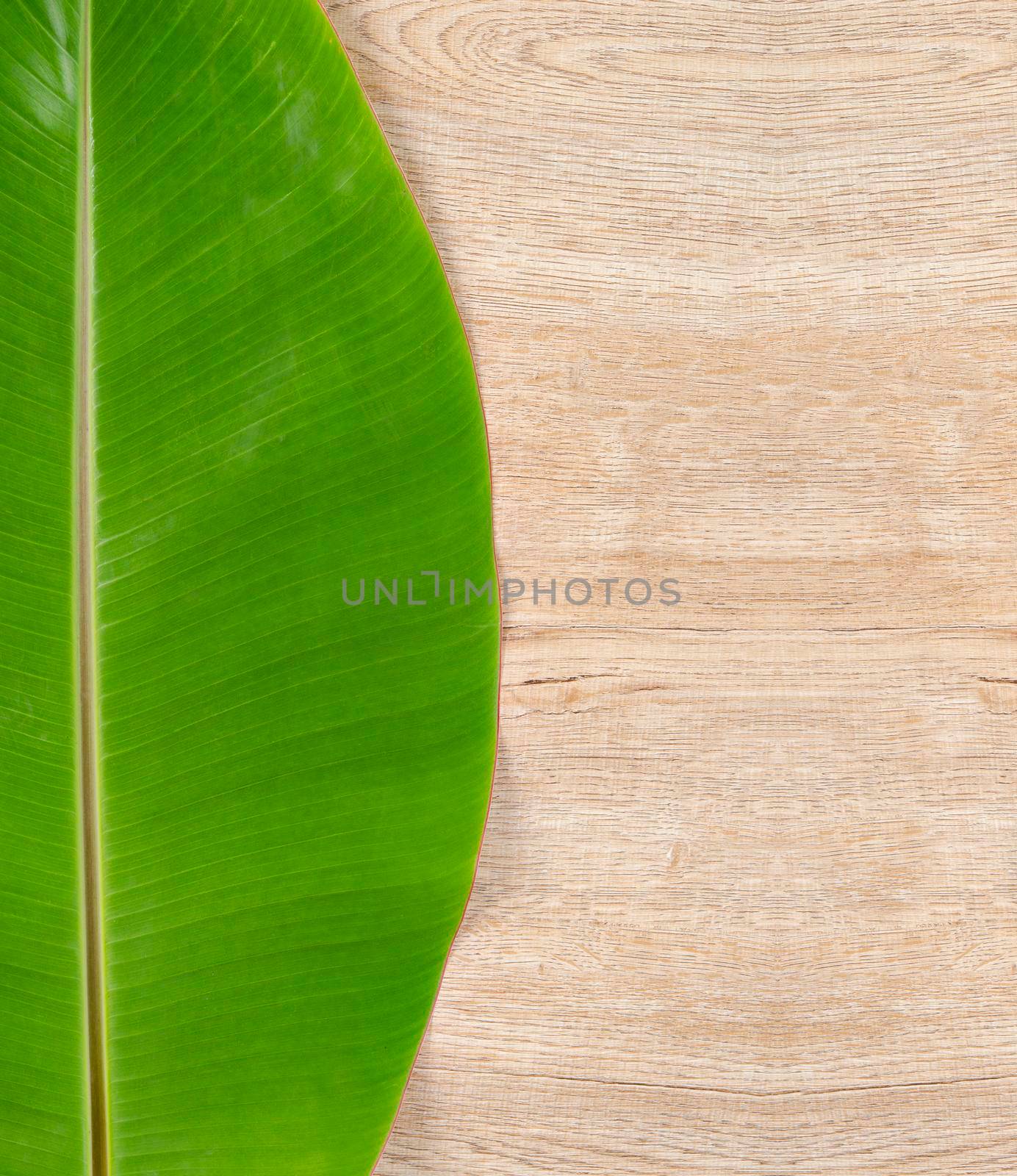 Blank wooden background with banana green leaves for your text or message.