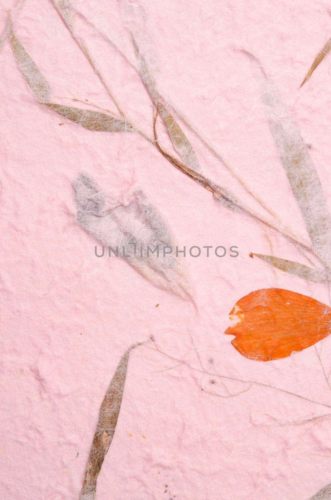 mulberry paper with red and yellow flower petal and seed texture background and wallpaper