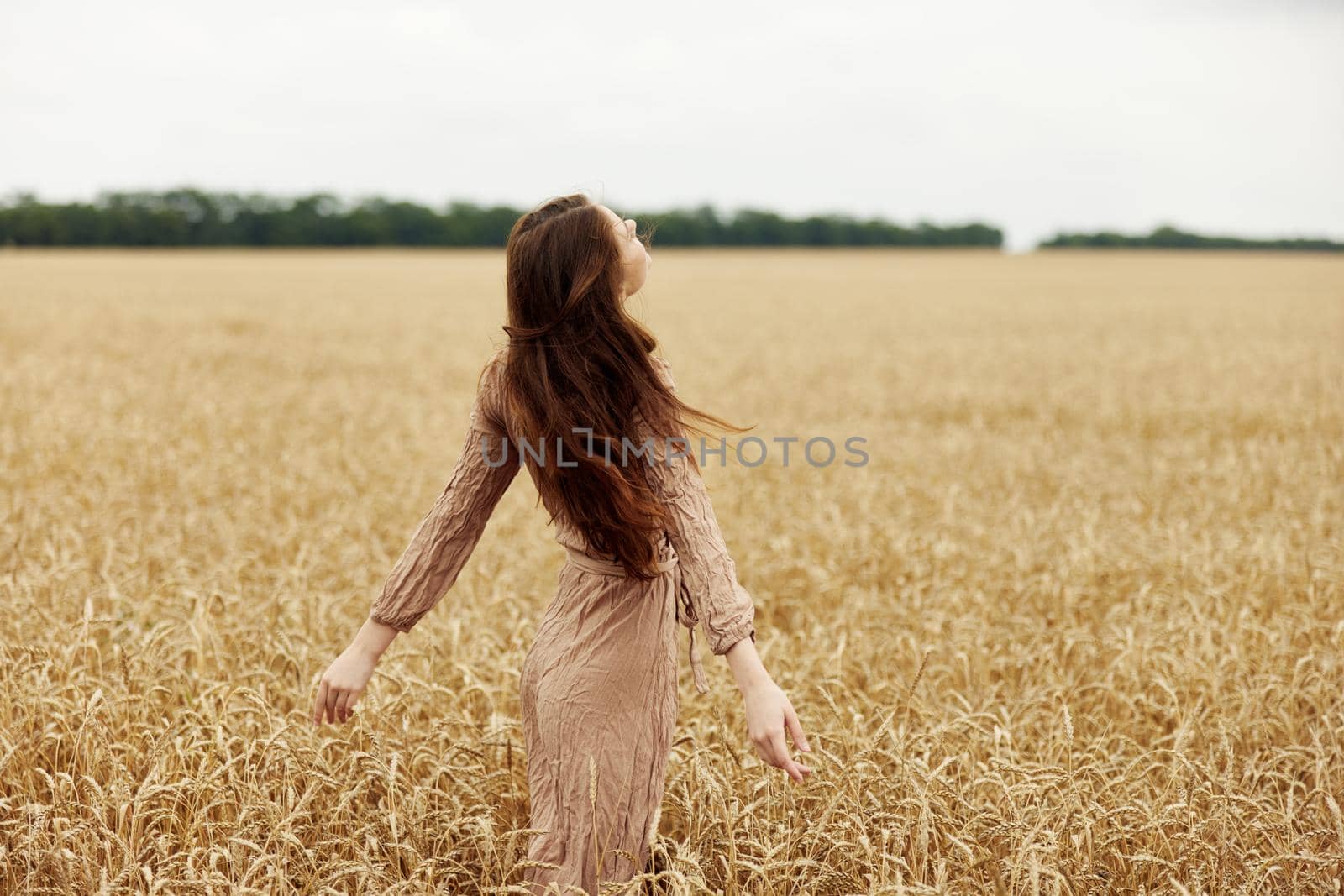 female hand Wheat field autumn season concept. High quality photo