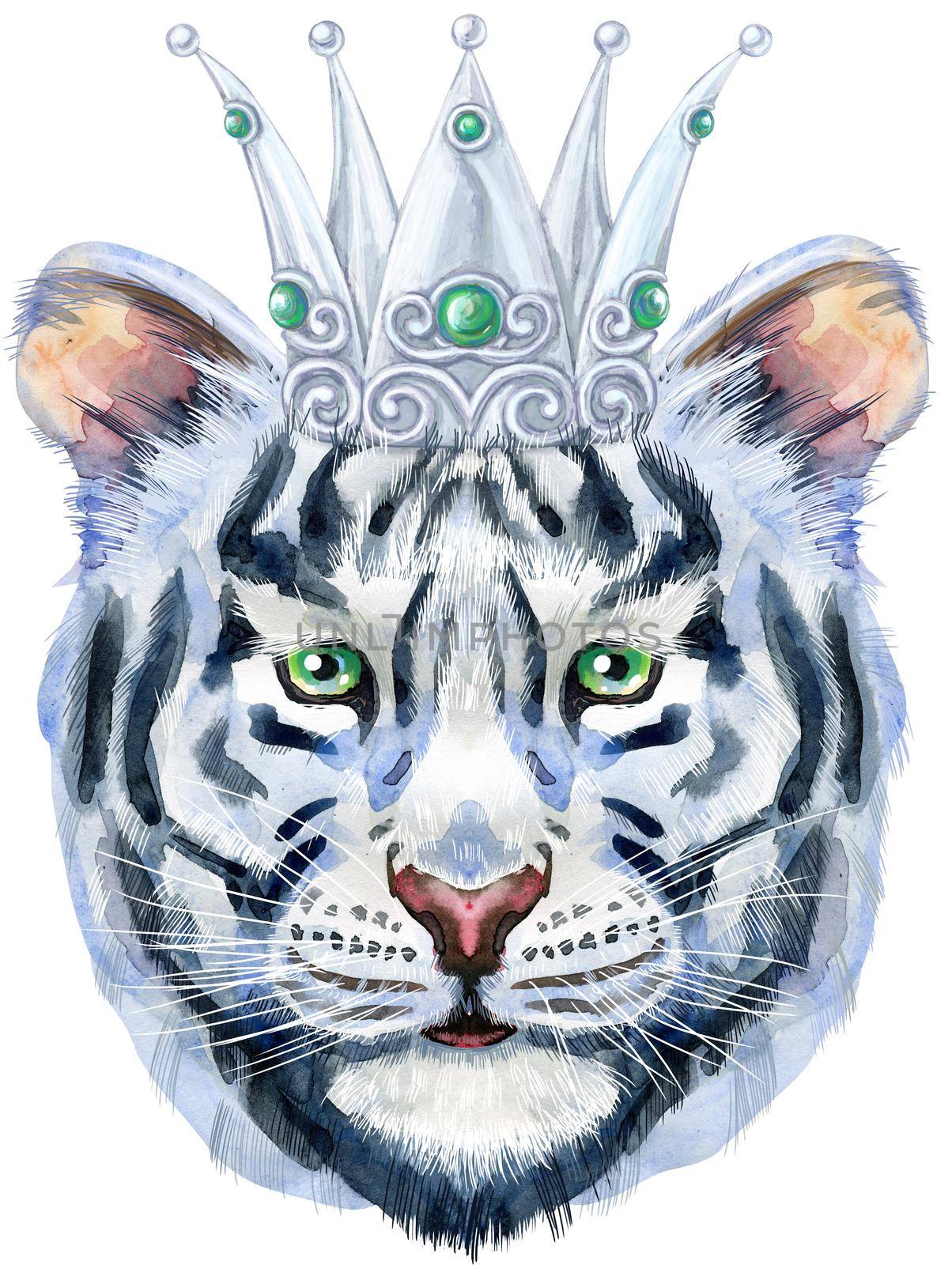 Colorful white tiger in silver crown. Wild animal watercolor illustration on white background by NataOmsk