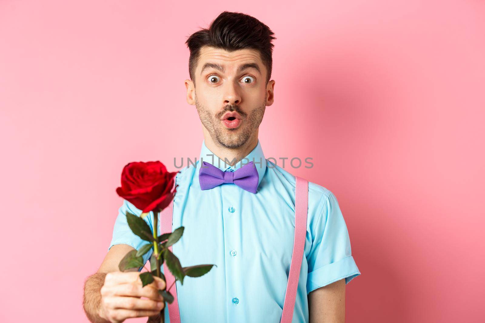Valentines day and romance concept. Cute man in bow-tie giving red rose to you and looking with sympathy, standing on romantic pink background.
