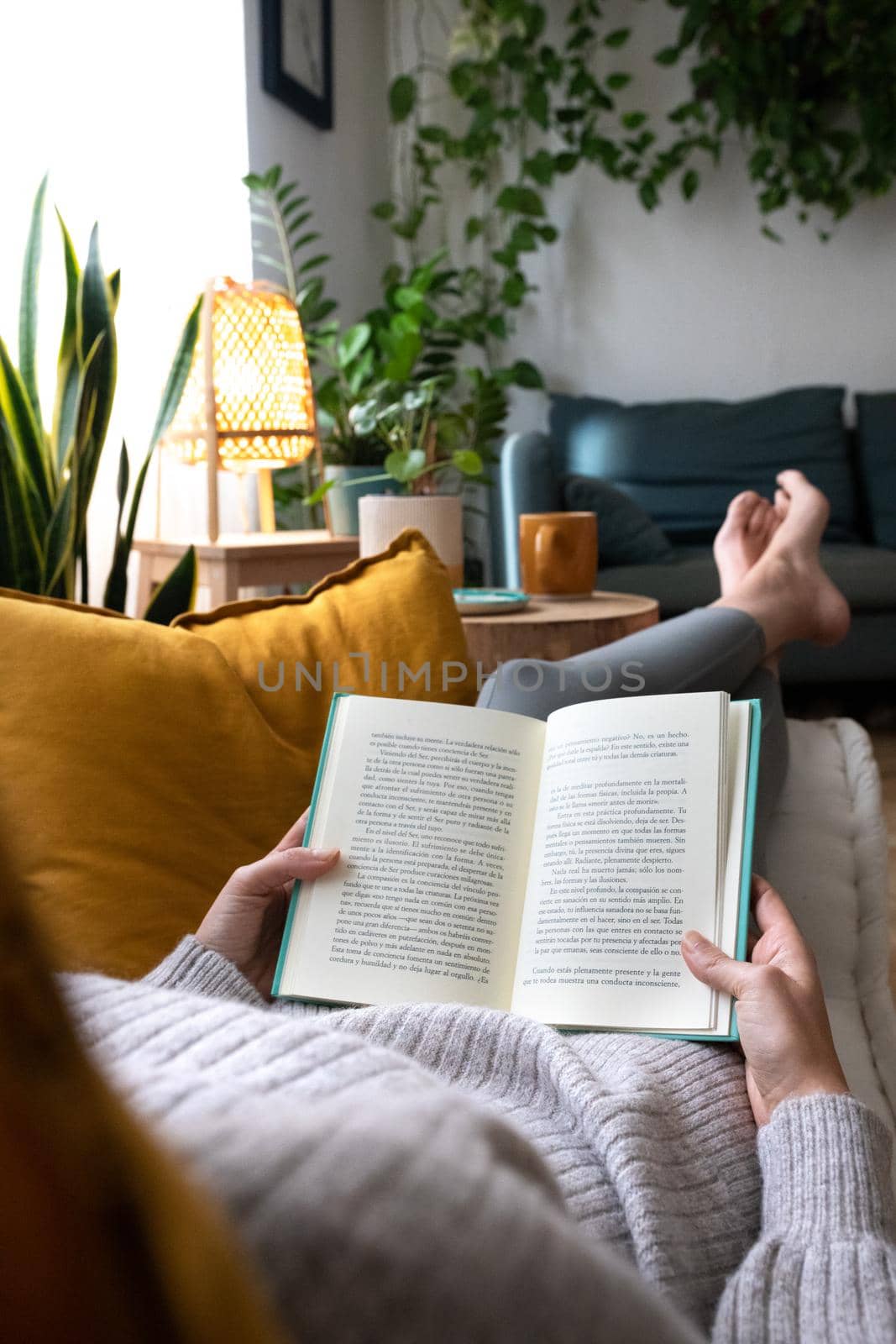 POV of young woman reading a book at home lying on couch. Vertical concept. Lifestyle concept.