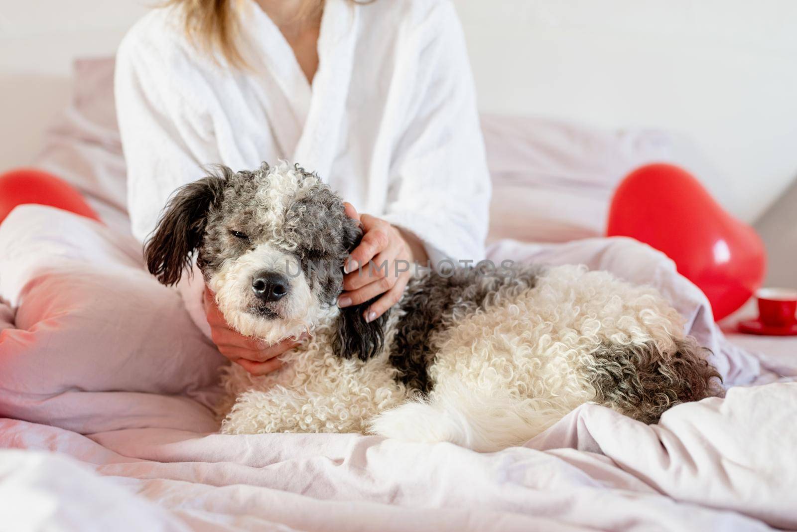 Happy valentines day. Young beautiful woman sitting on bed with her dog celebrating holiday with red balloons