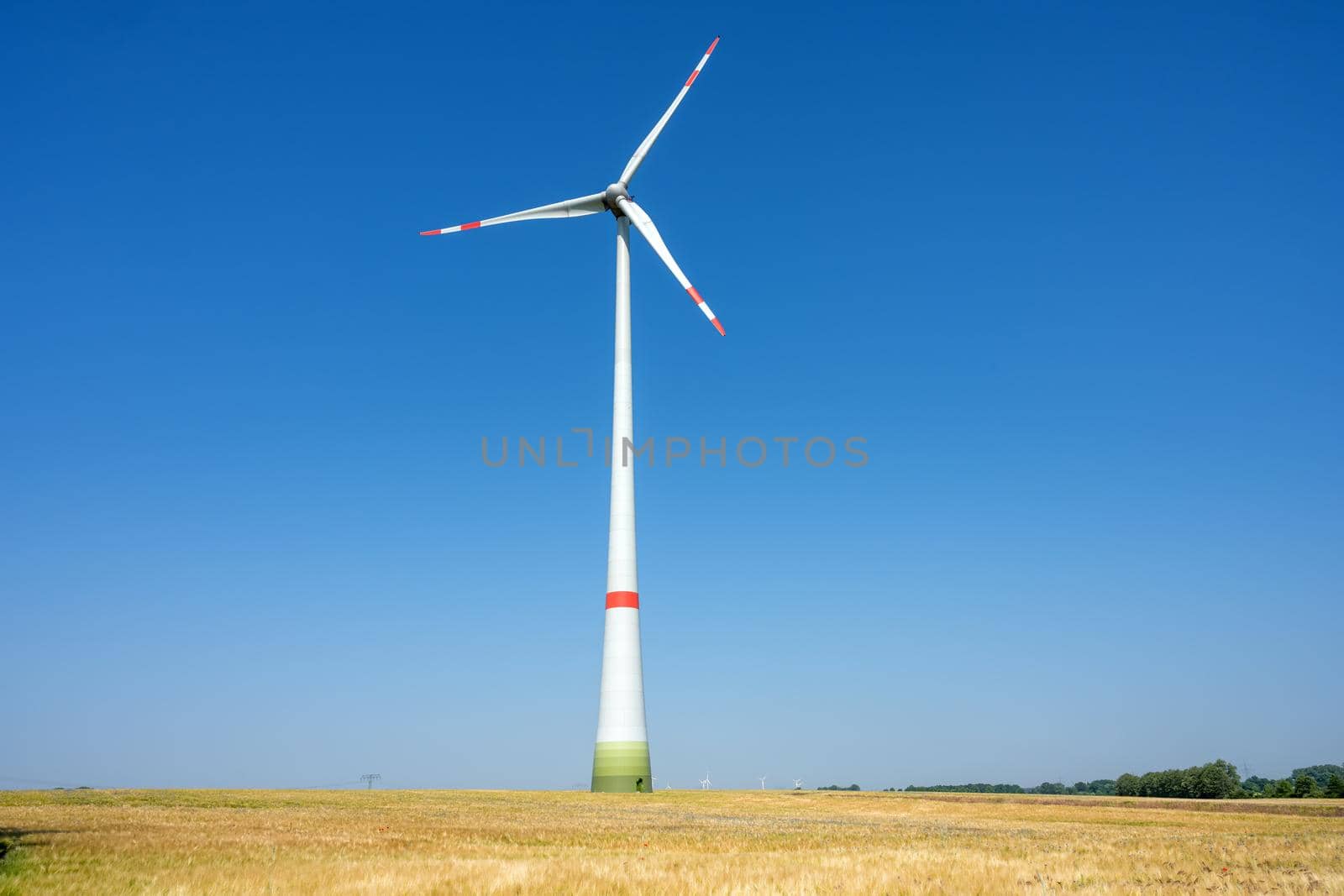 Modern wind turbine in a grain field seen in Germany