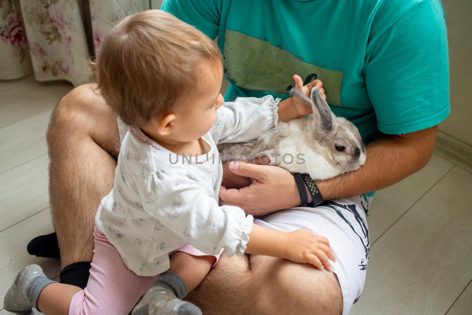 infant baby girl playing with decorative rabbit in father s arms