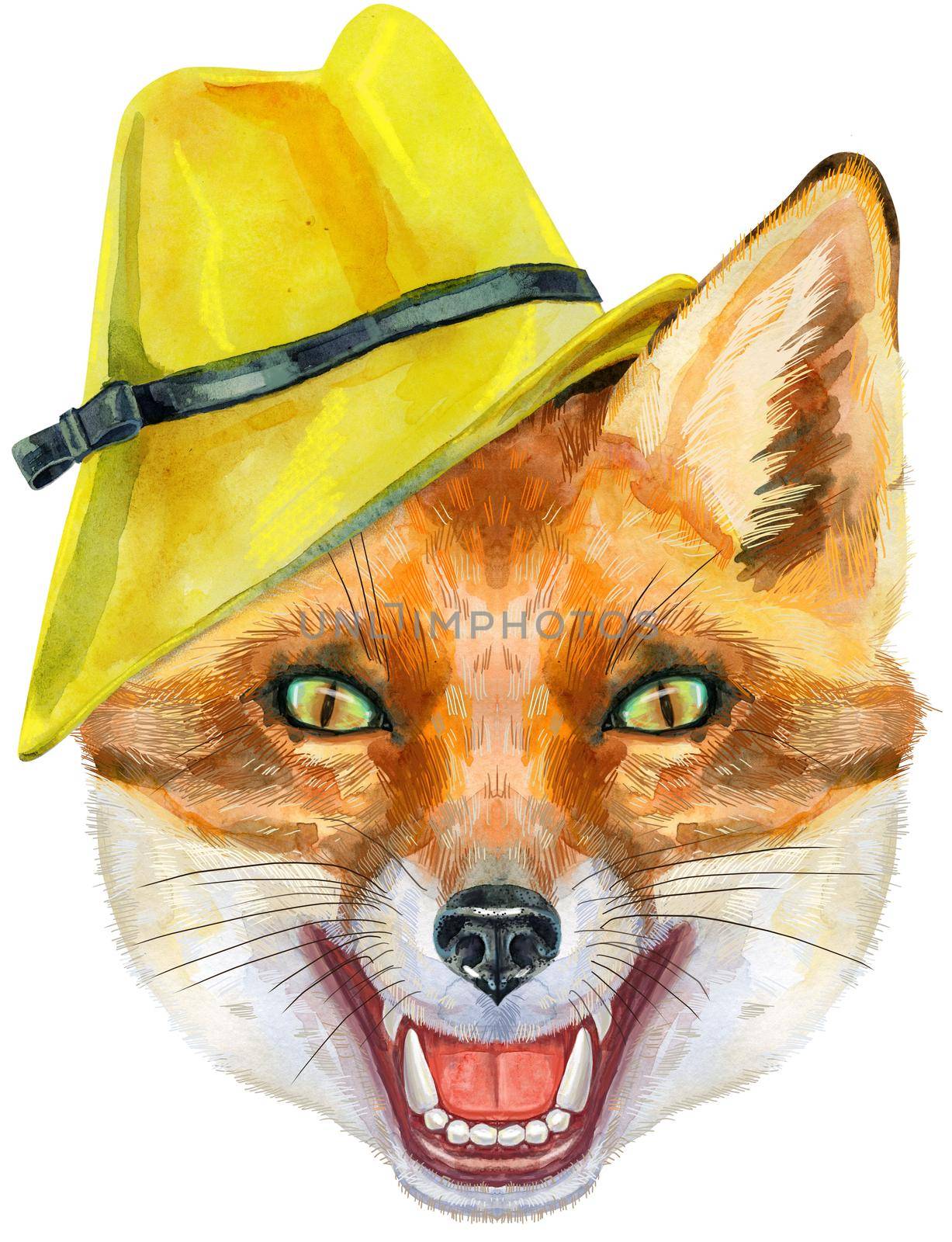 Fox head in yellow hat. Watercolor fox painting illustration isolated on white background by NataOmsk