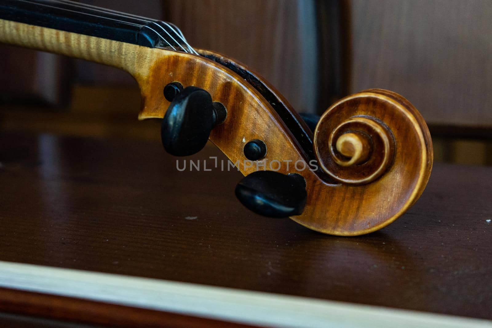 Part of the violin. Side view. Violin handle.