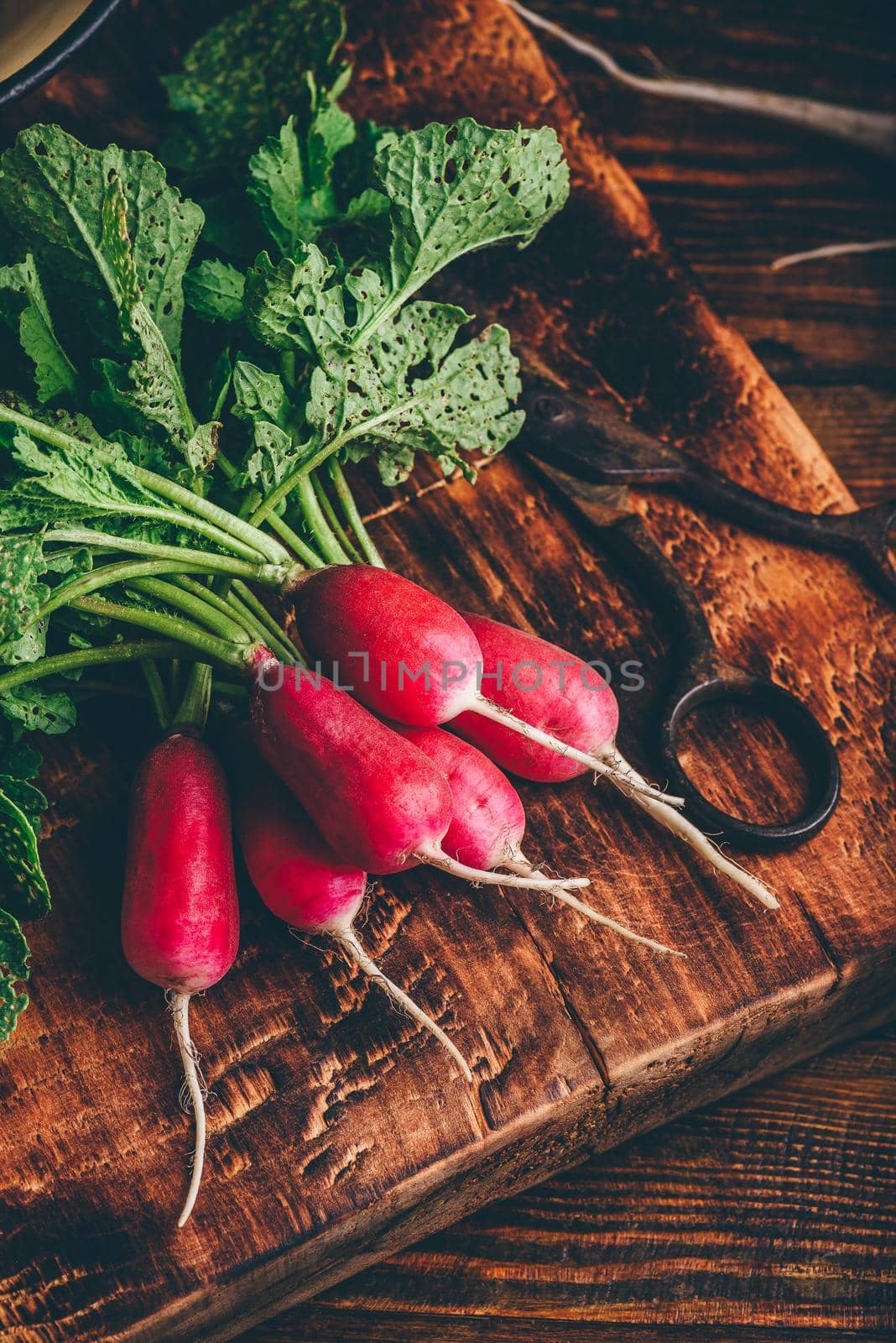 Bunch of homegrown red radish on cutting board