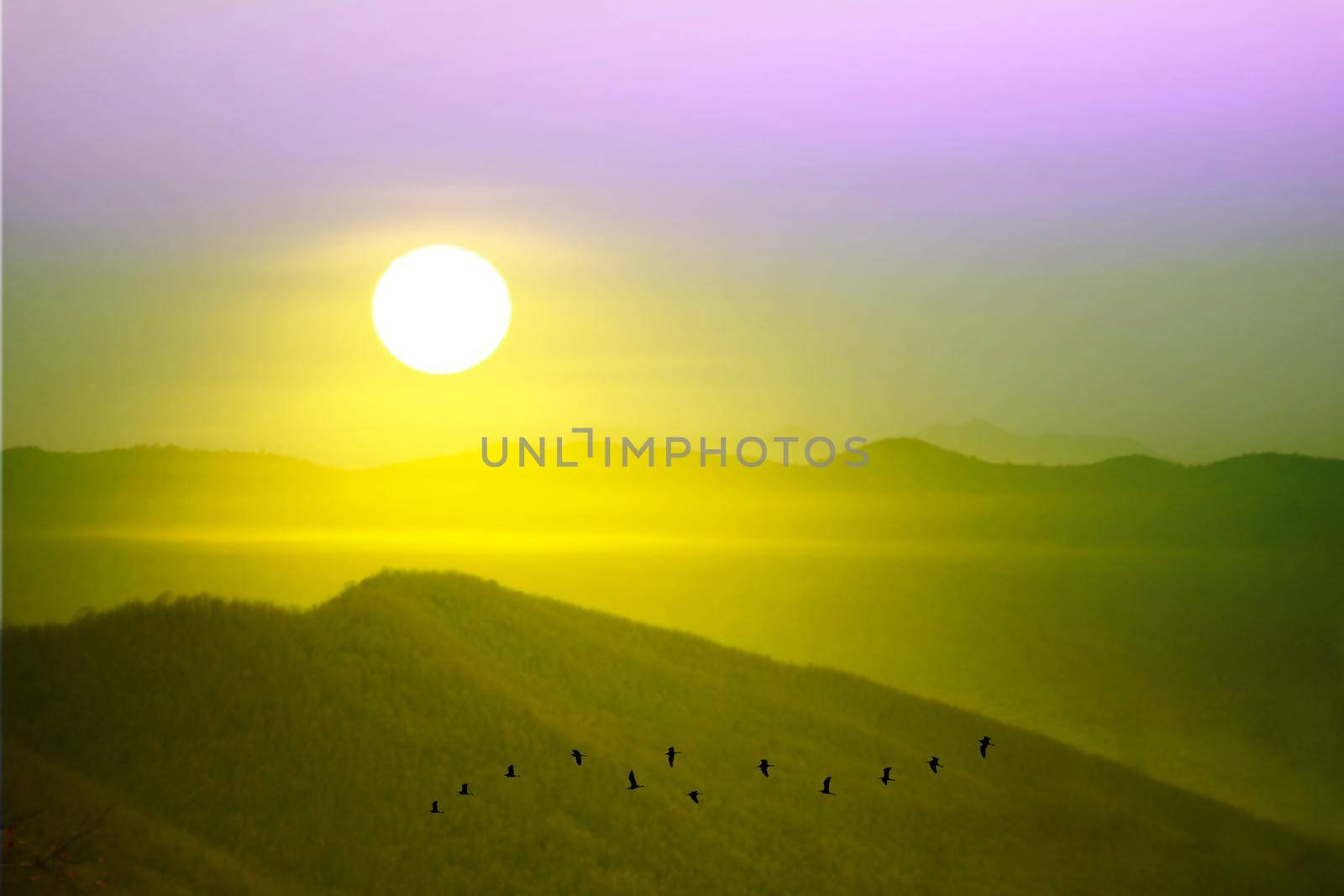 Beautiful sunrise on top of Wong Phra Jun mountain and silhouette birds flying on yellow gold sky in Lopburi Thailand