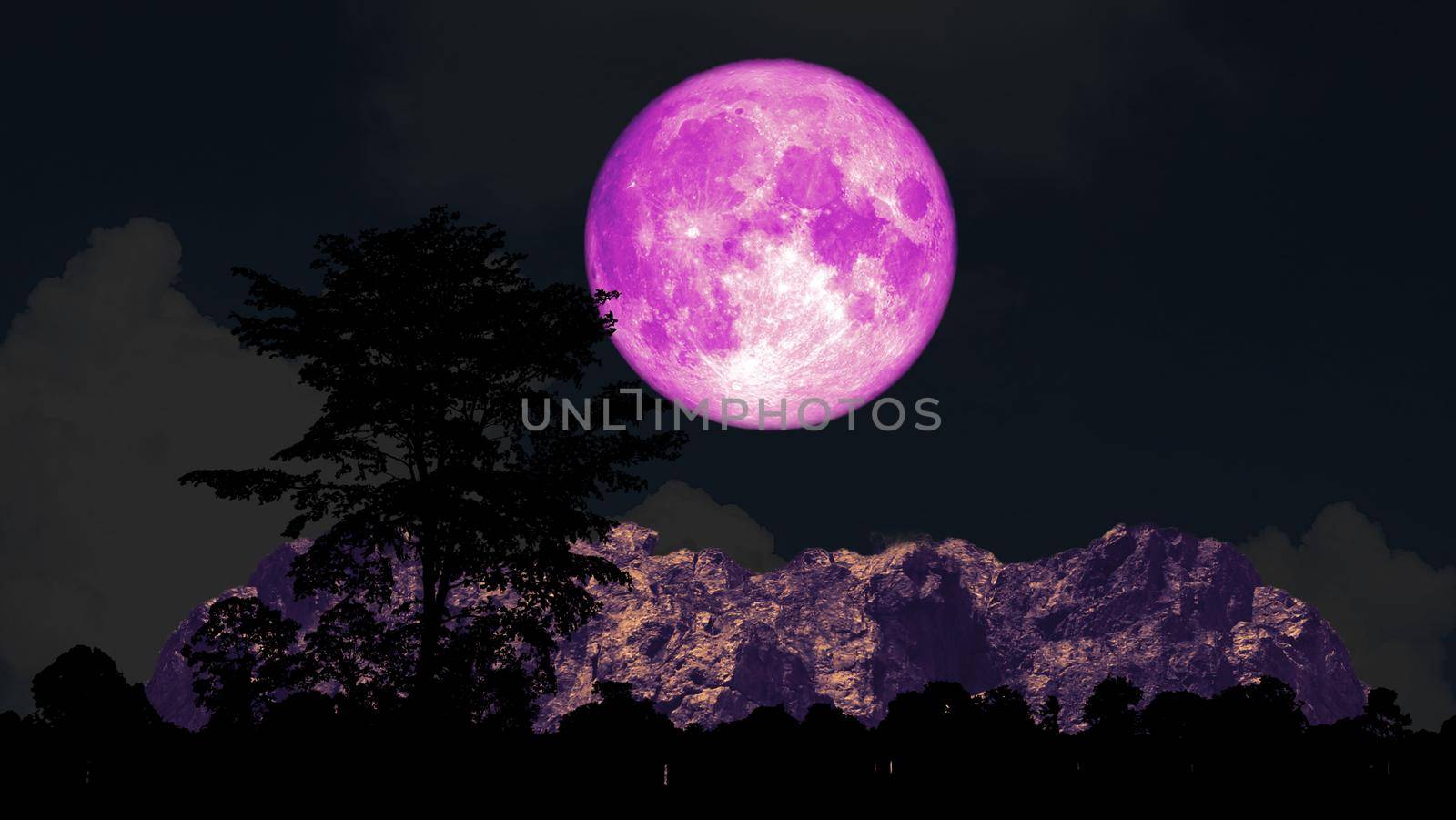 Full pink moon and tree on the silhouette mountain on the night sky, Elements of this image furnished by NASA