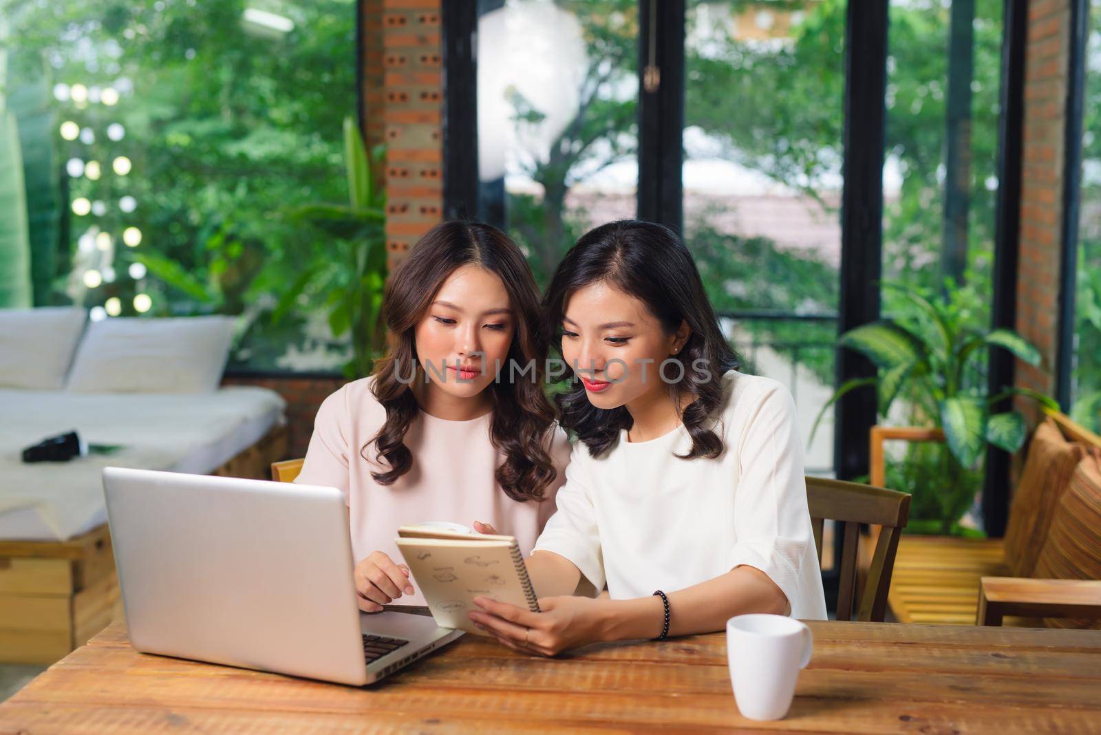 Two multiracial young female friends surfing the internet together on a laptop as they sit in a cafeteria enjoying a cup of coffee by makidotvn