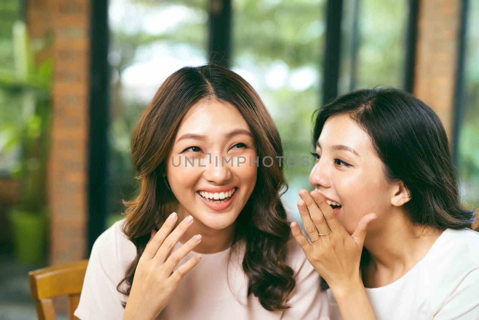 Two happy roommates talking, sitting in the living room in a house interior