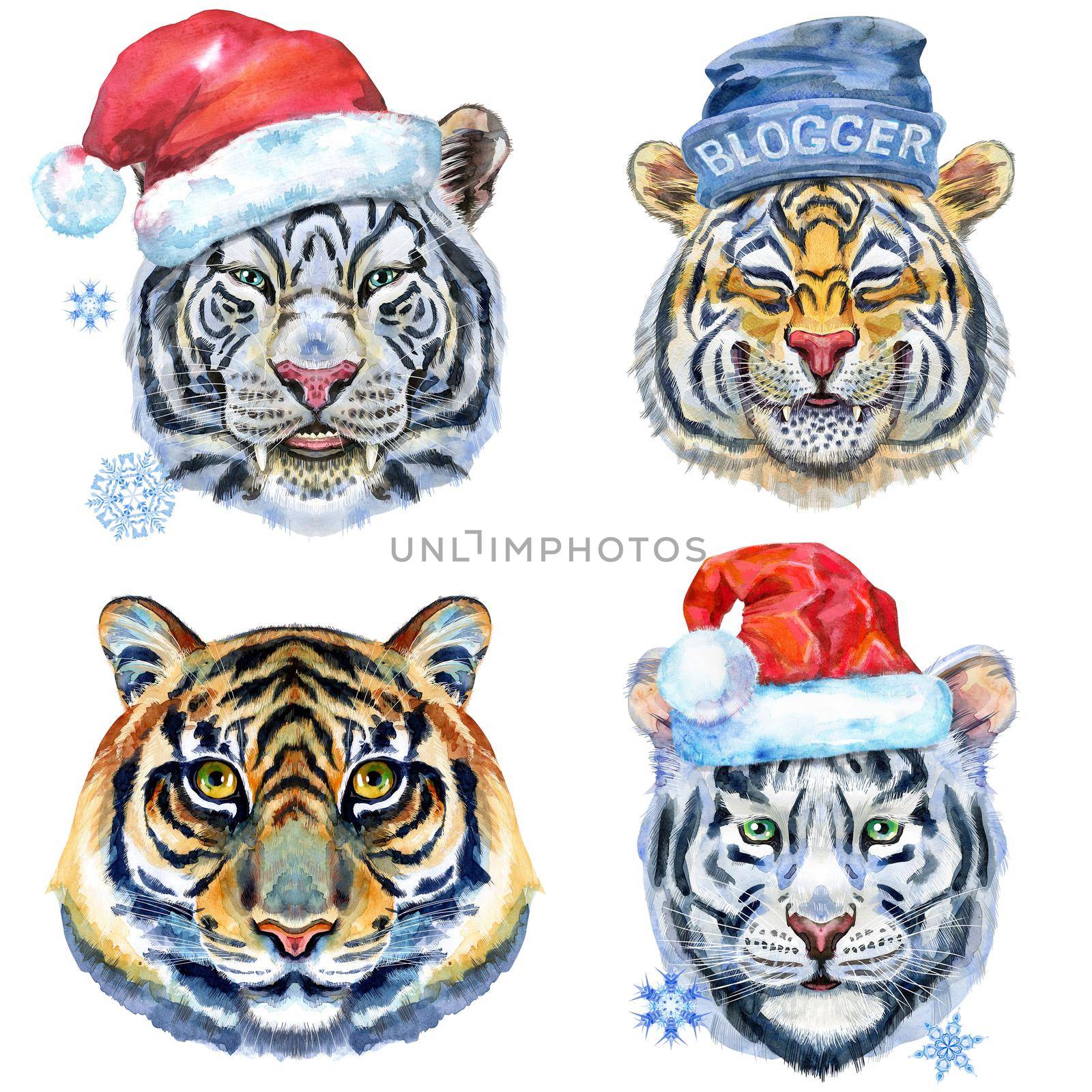 Watercolor illustration of tigers in Santa hat and blogger hat