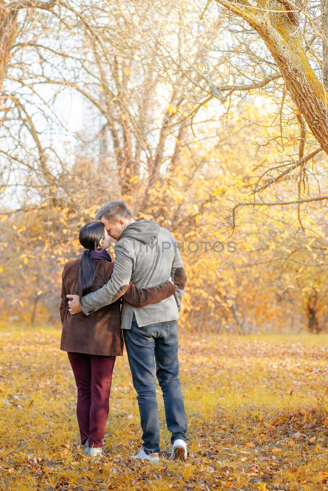 Autumn Caucasian Couple Standing Face-to-Face in a Park Full of Sun. Casual Style in Autumn Colors. Full-length. Fall Park Background by LipikStockMedia
