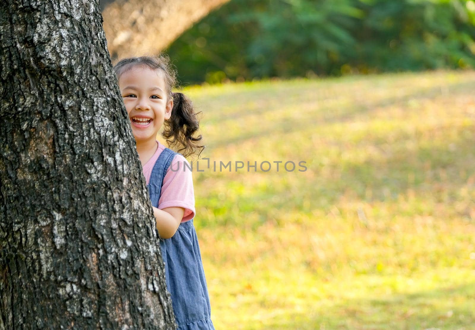 Portrait of little Asian girl play peekaboo by hiding back of tree and smile in park or garden.