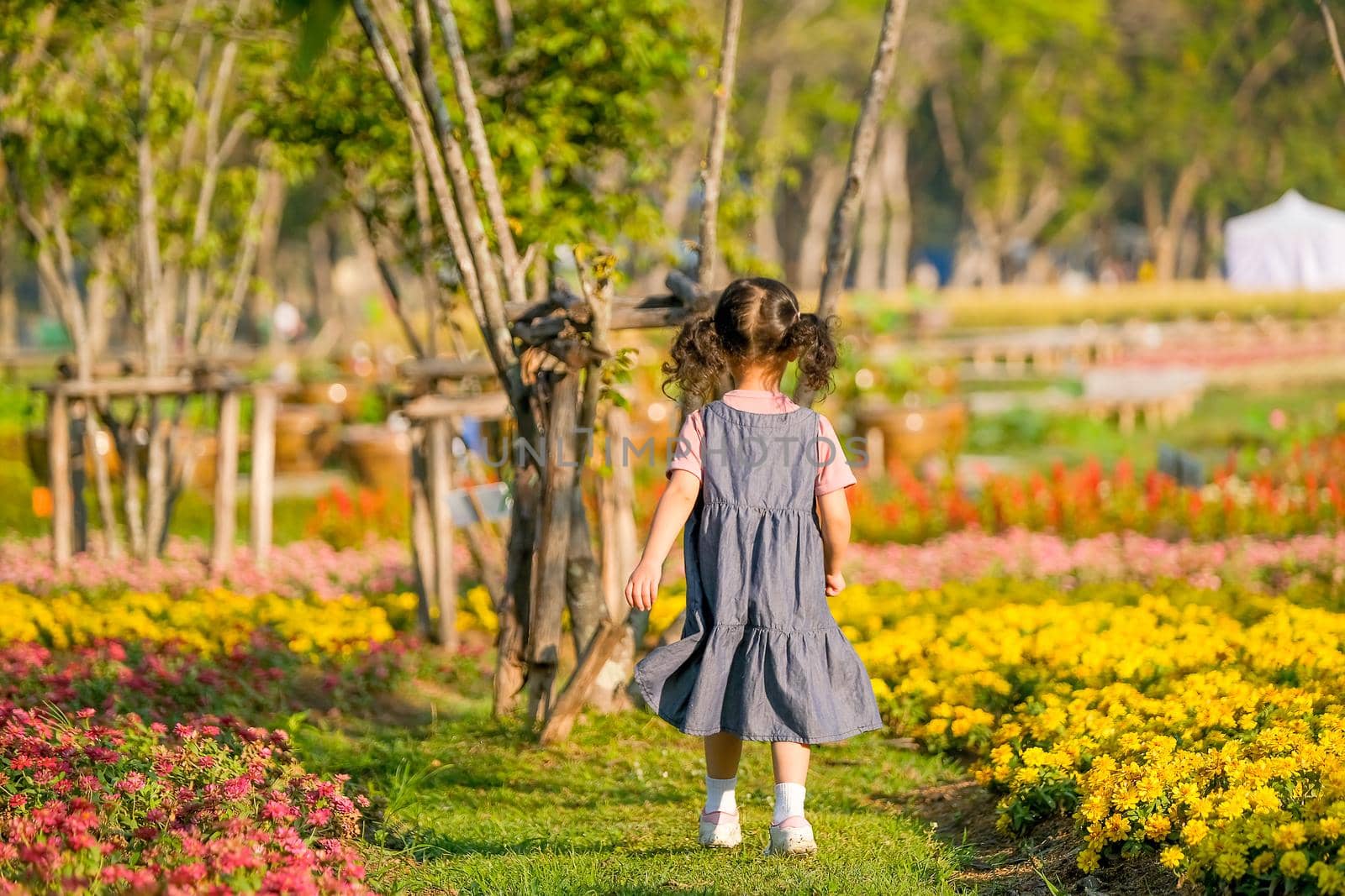 Soft blur of back of little girl run into flower garden with morning light.