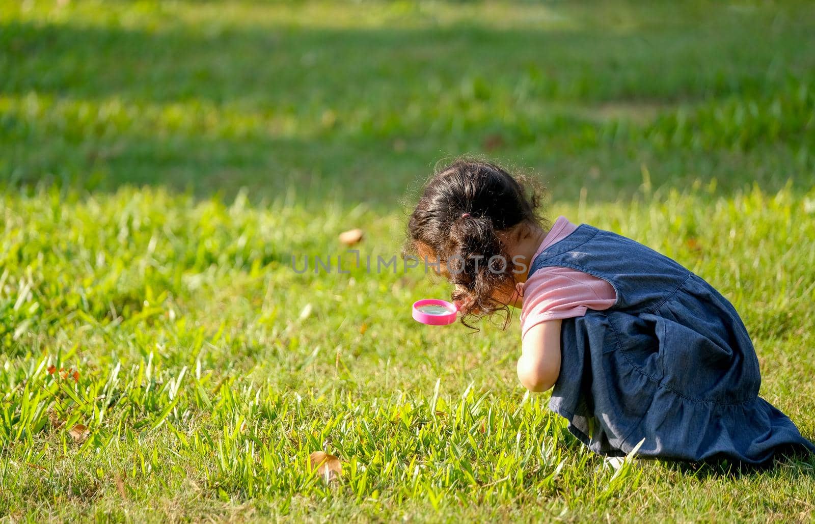 Little girl enjoy with using magnifier glass to look for something inside grasses in green garden with morning light.