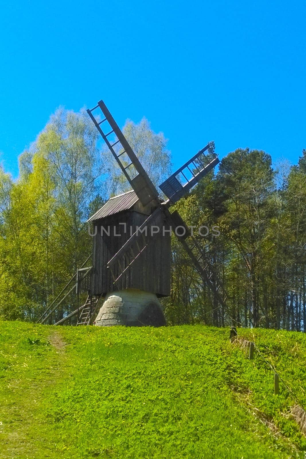 An old wooden mill against the backdrop of a green forest