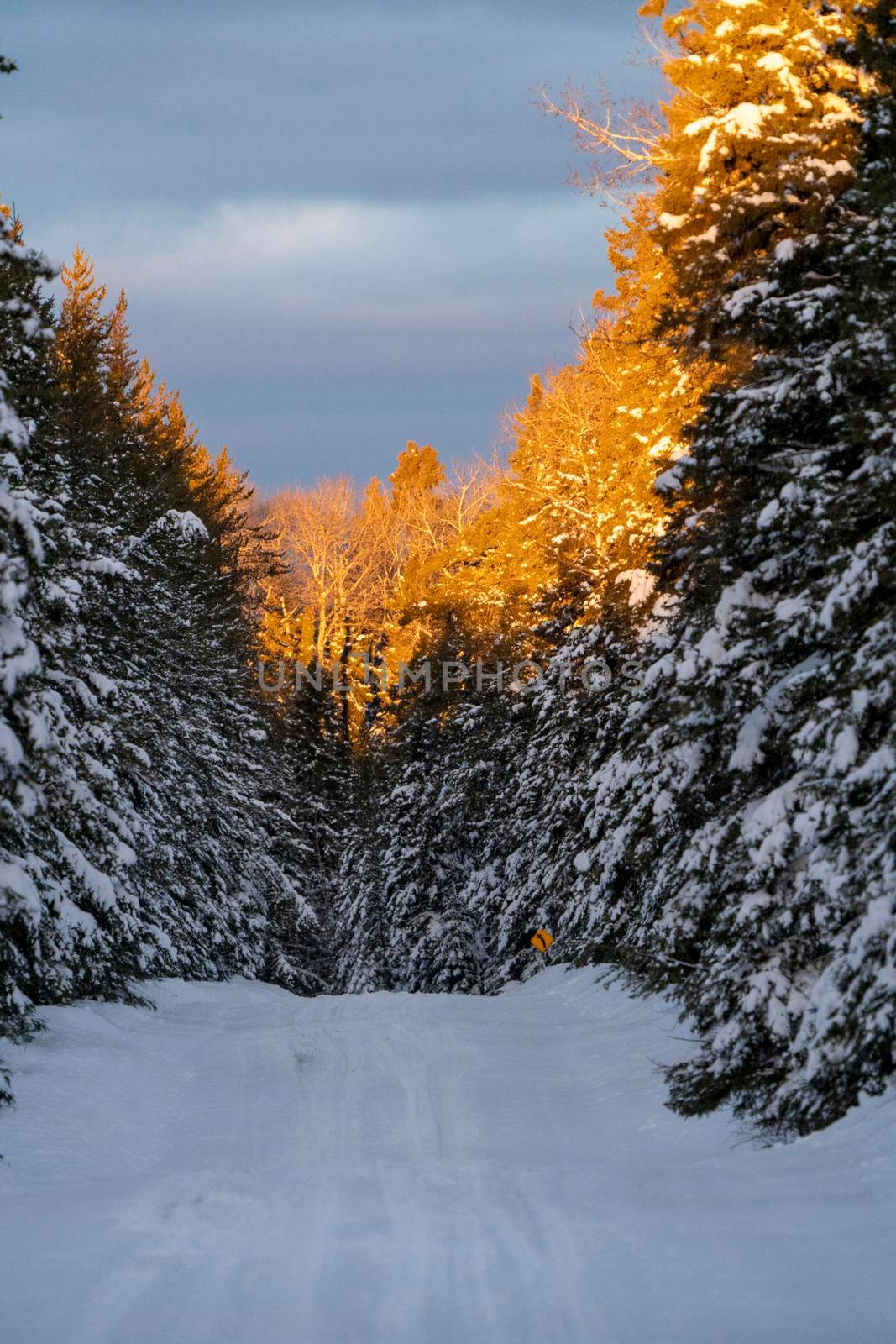 Scenic Prince Albert National Park Canada sunrise light