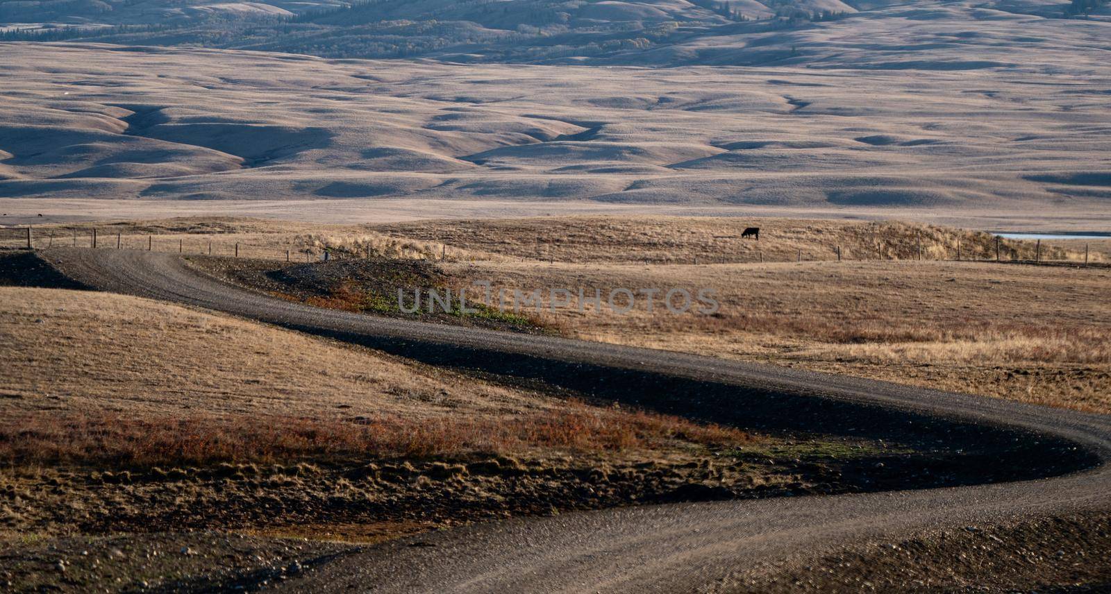 Scenic views of the Cypress Hills Saskatchewan Alberta