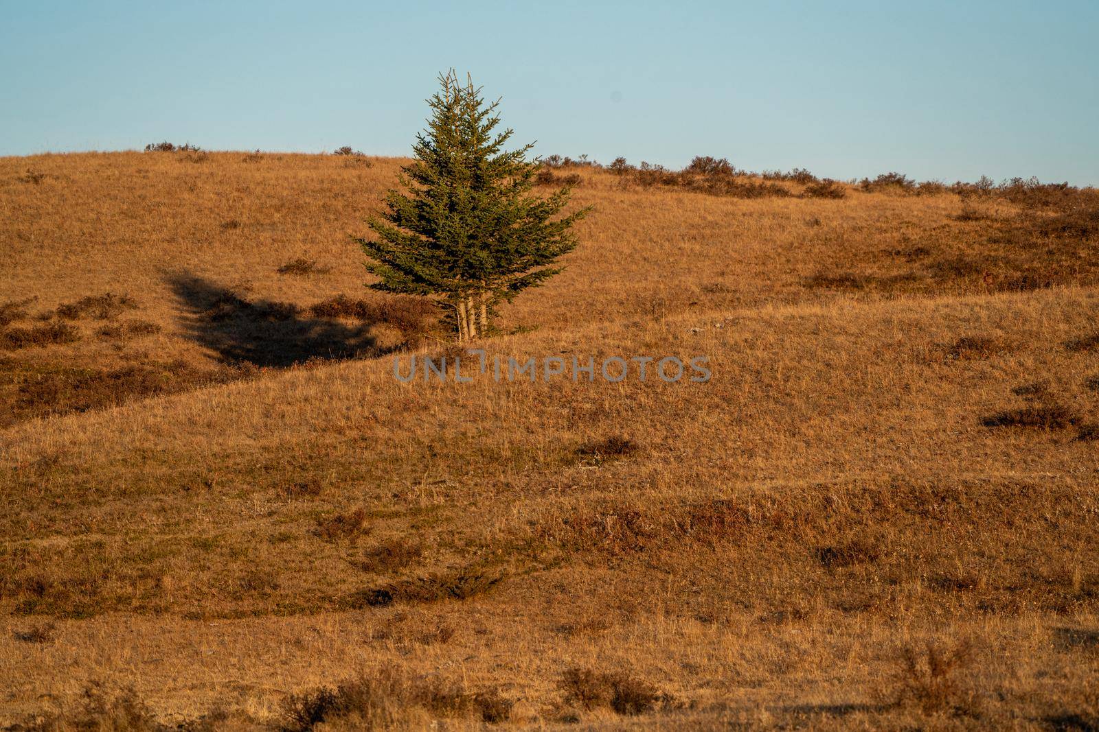 Scenic views of the Cypress Hills Saskatchewan Alberta