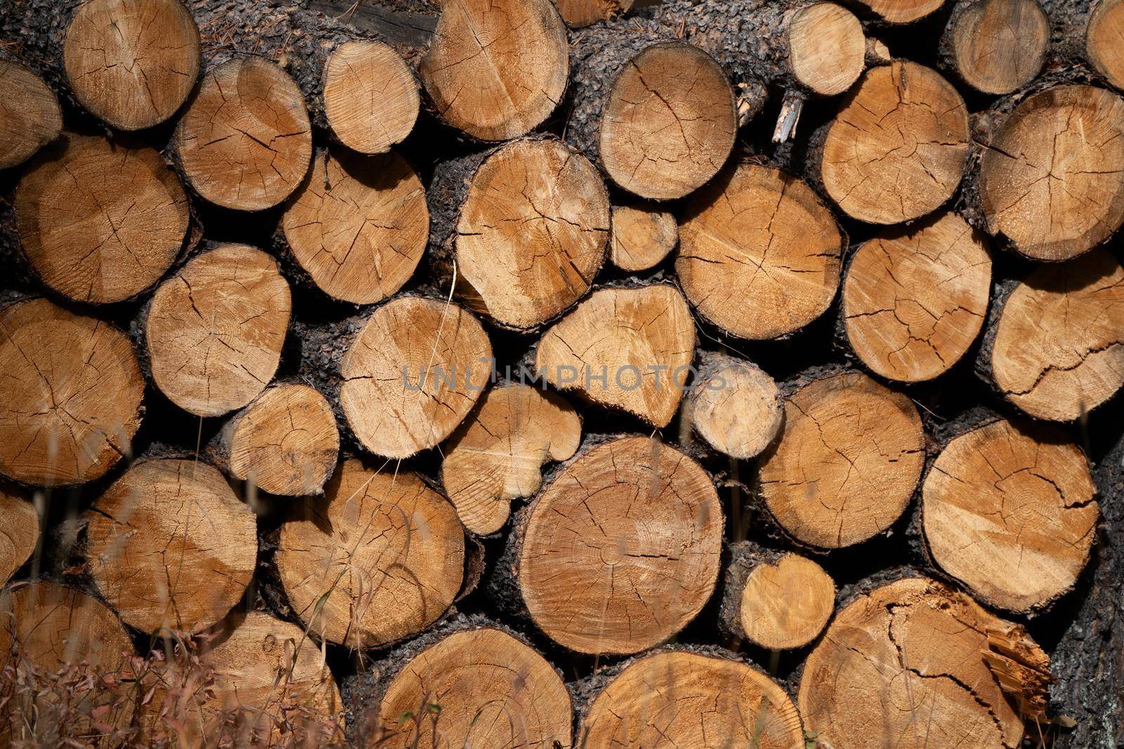 Neatly stacked Firewood In the Prairies of Canada