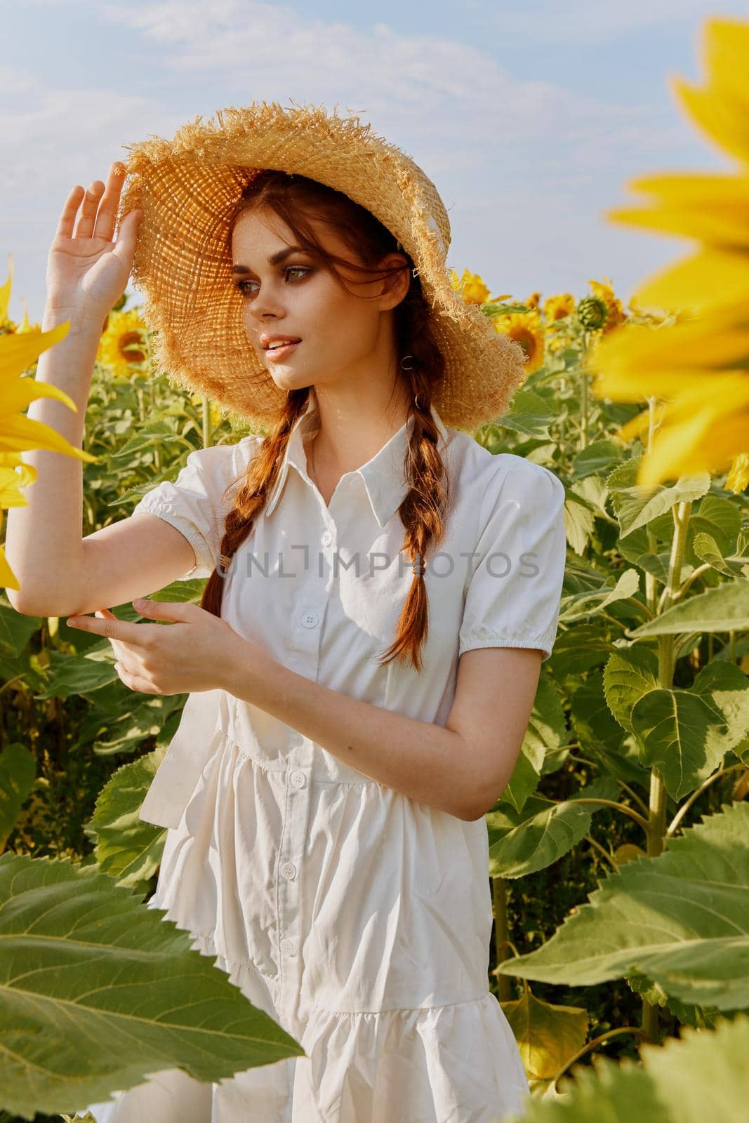 woman with two pigtails in a field of sunflowers lifestyle unaltered. High quality photo