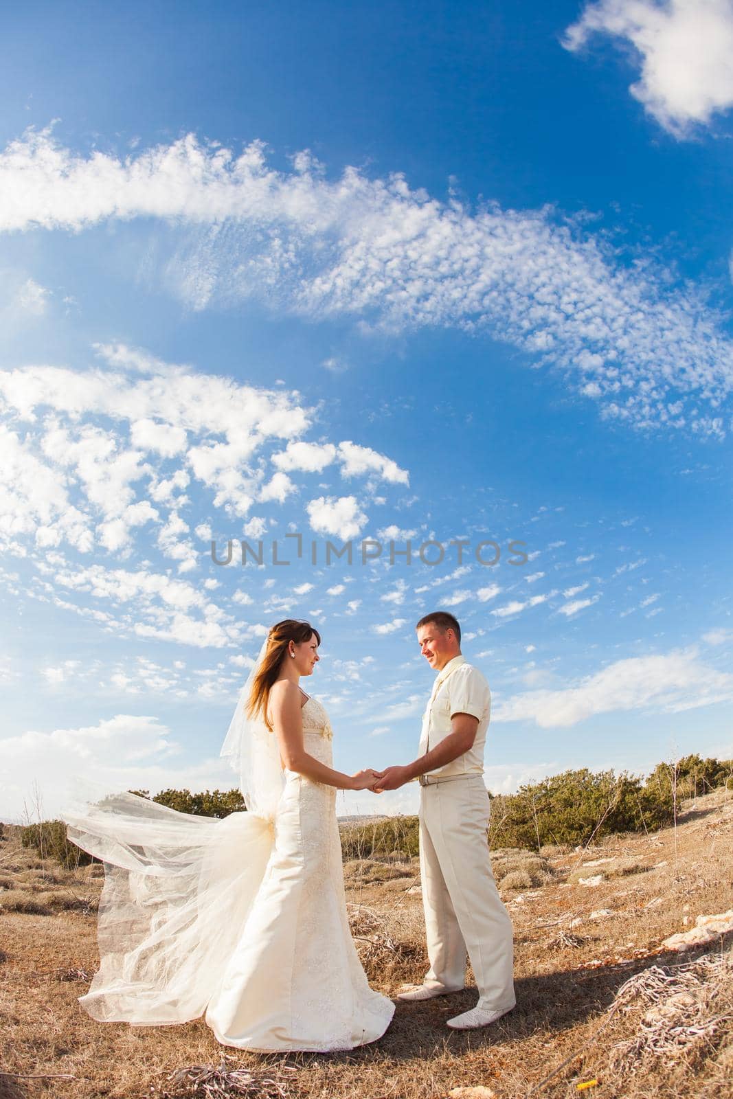 Portrait of happy bride and groom outdoor in nature location. Summer or autumn season.