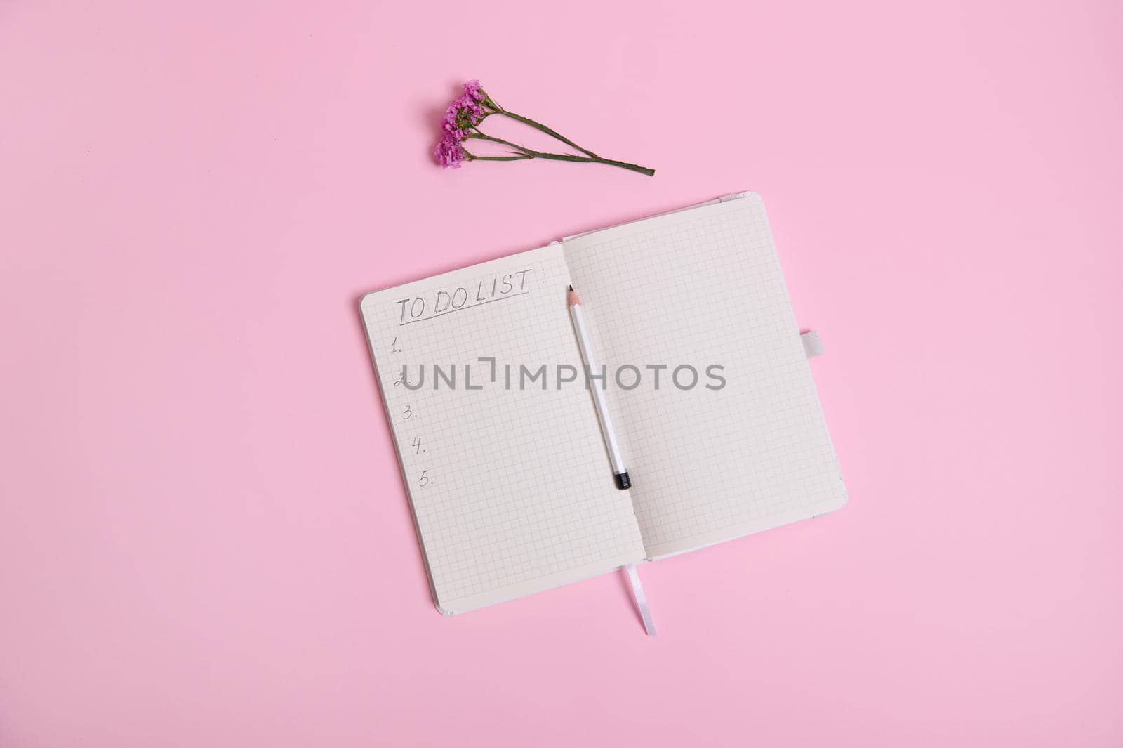 Still life. Open agenda, diary, notebook with a list to do on white sheet of paper in line with copy space, pencil in the middle of the agenda and meadow flower on pink background with space for text