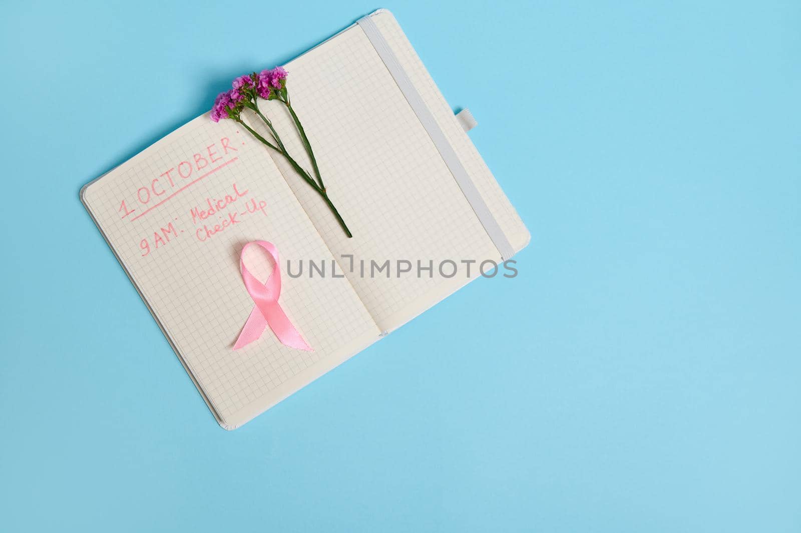 Flat lay with copy space of flower and pink ribbon, on opened notepad with inscriptions reminding of a medical check-up. October 1st, World Breast Cancer Day, Women's health care and medical concept.