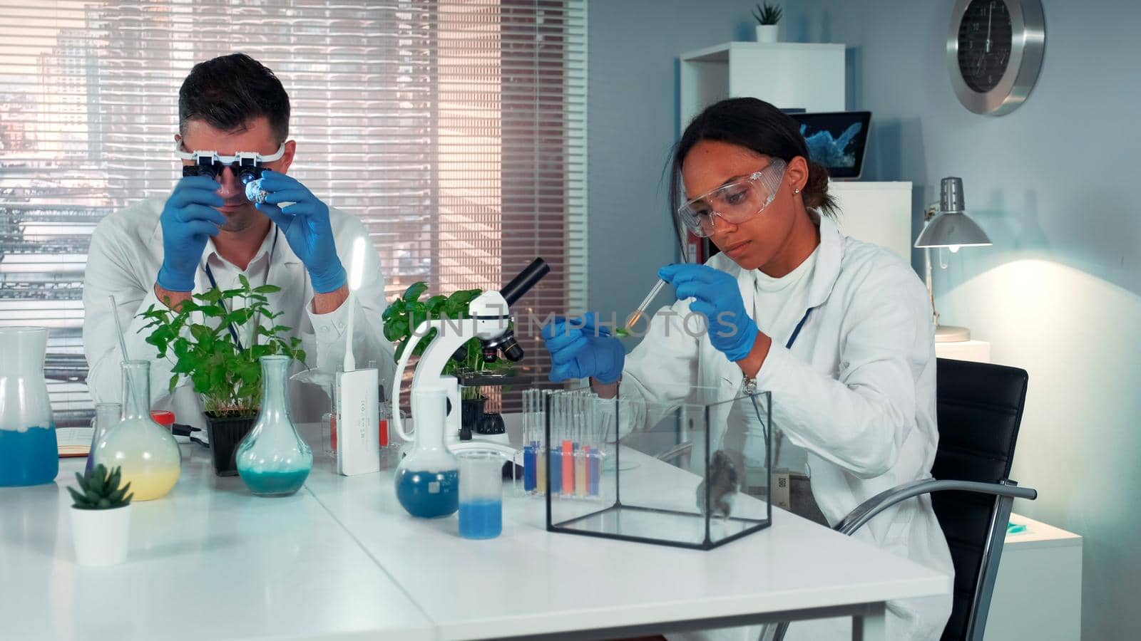 Black research scientist dropping chemical liquid on plant leaf and then giving it to the hamster. She is surprised with the course of the experiment in chemistry lab.